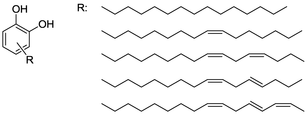 Polymers 04 00759 g024