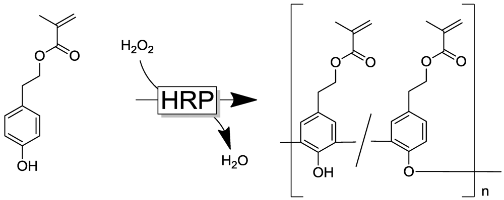 Polymers 04 00759 g026 1024