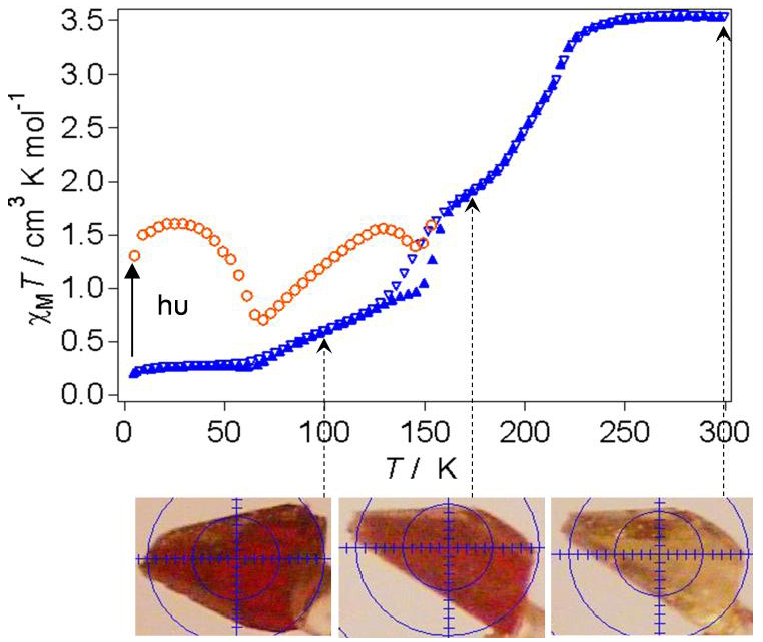 Polymers 04 00880 g003