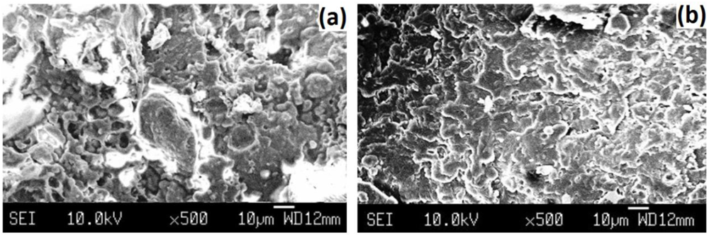 Polymers 04 00889 g006 1024