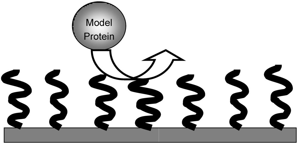 Polymers 04 00986 g002 1024