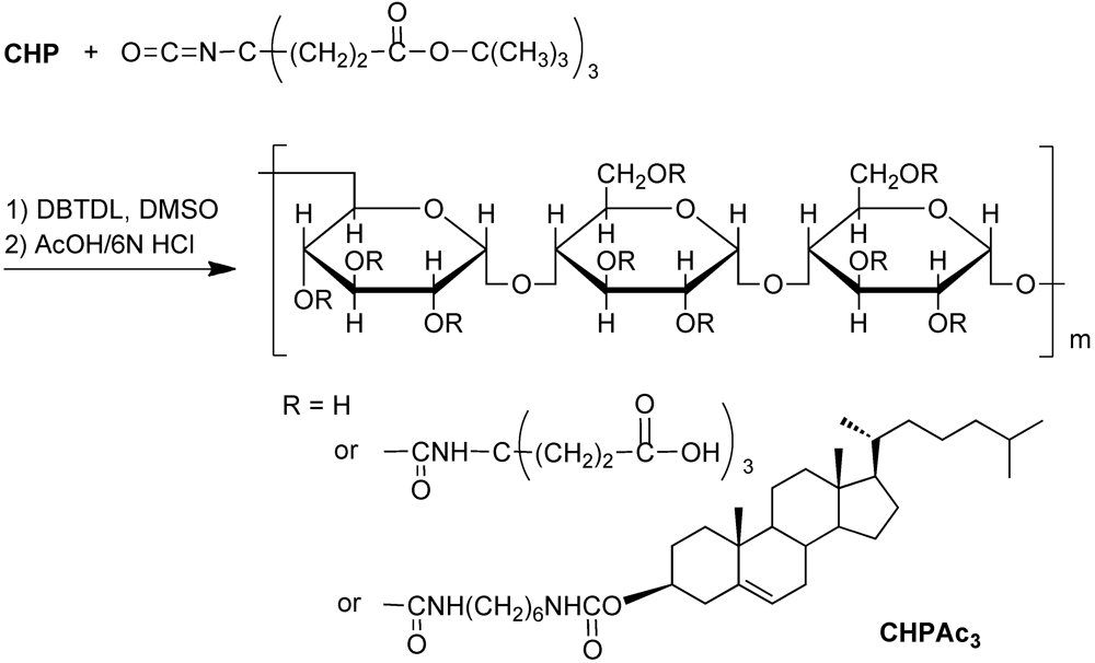Polymers 04 01056 g002