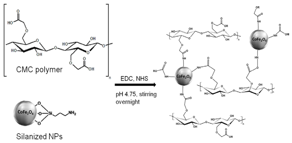 Polymers 04 01157 g006