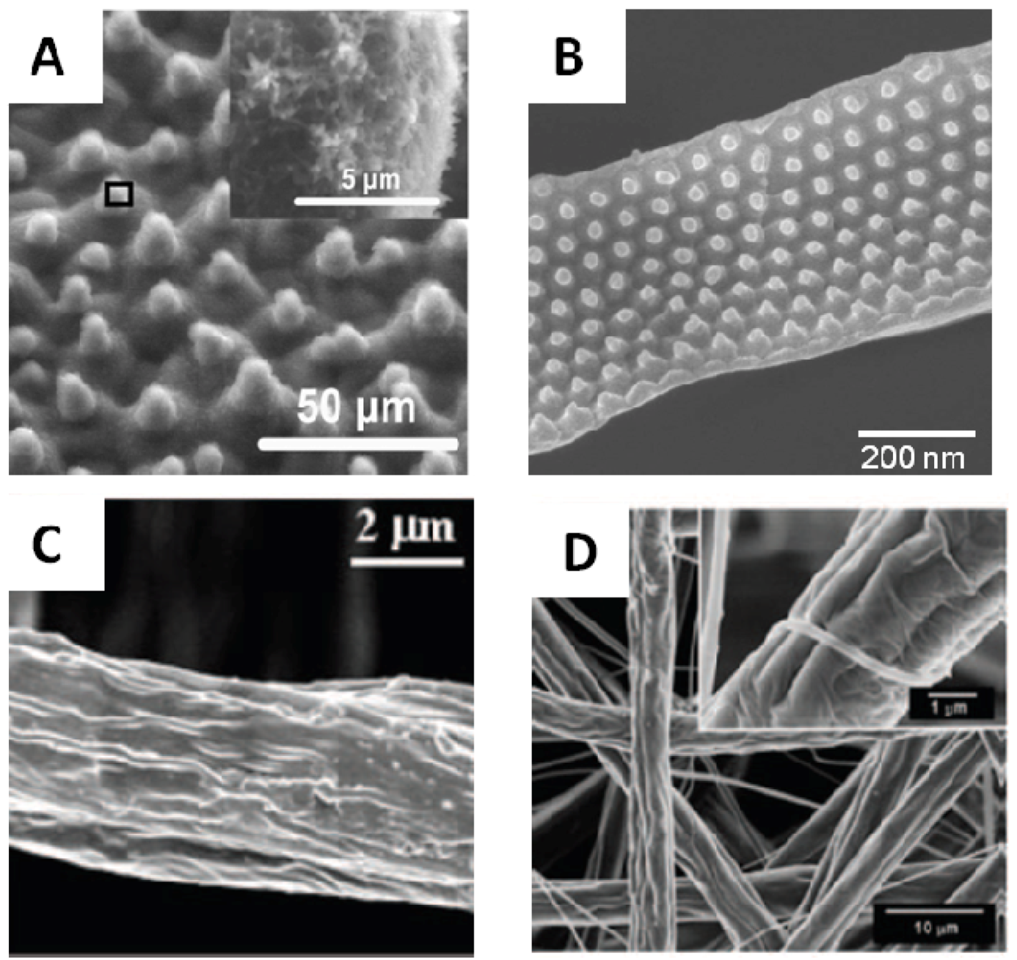 Polymers 05 00019 g004