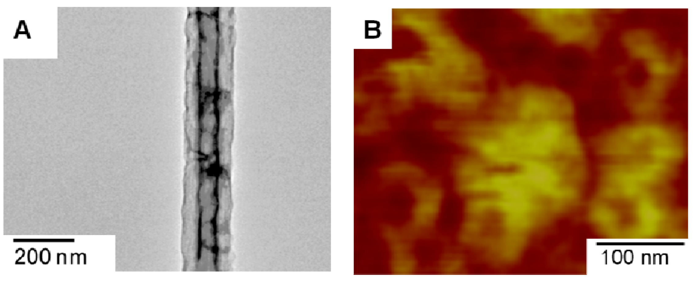 Polymers 05 00019 g006