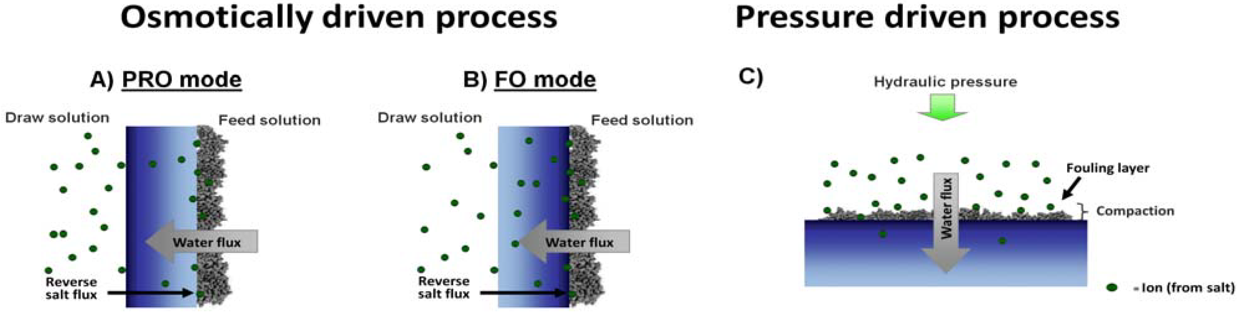 Polymers 05 00303 g006