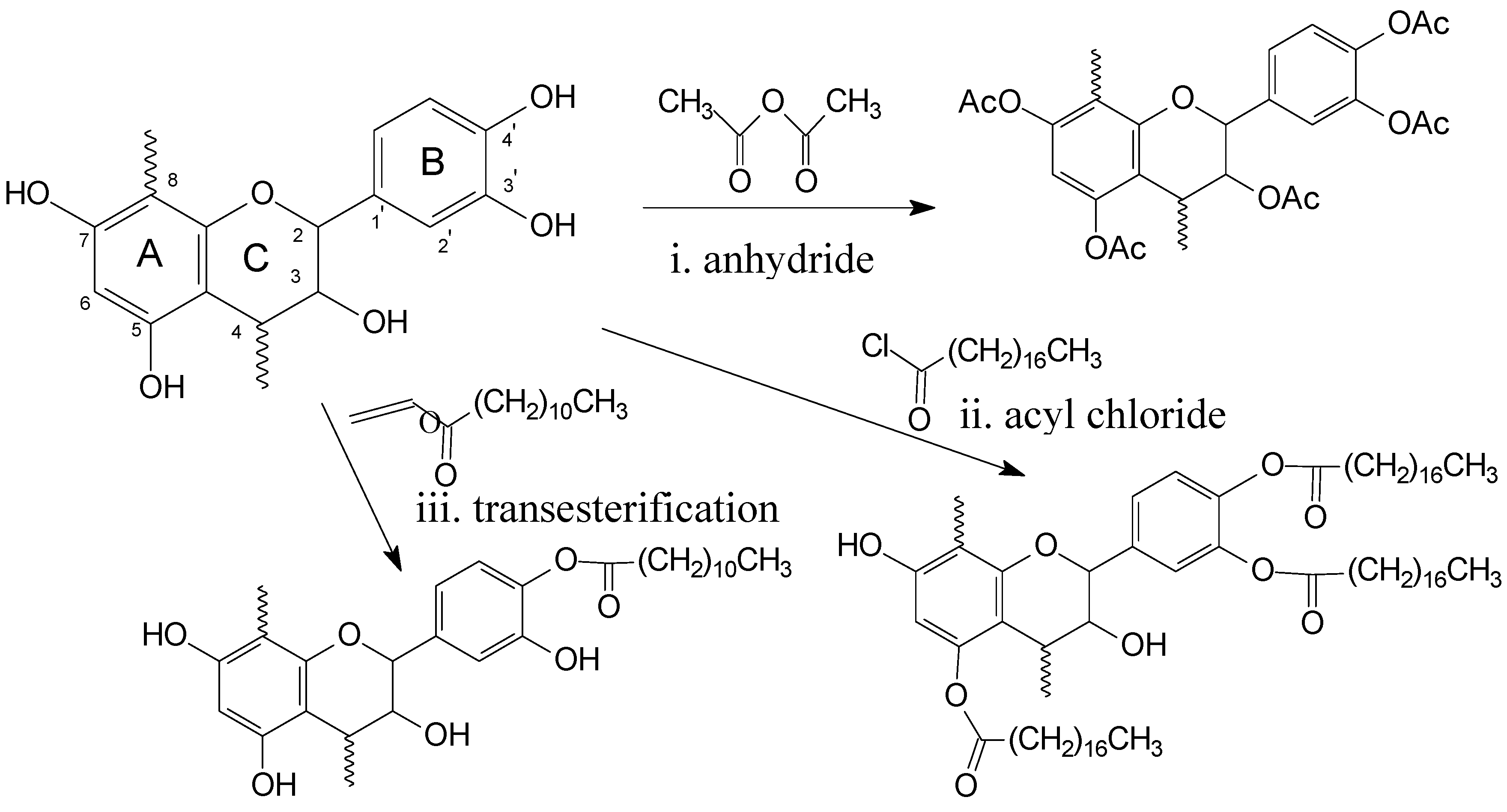 Polymers 05 00344 g001 1024