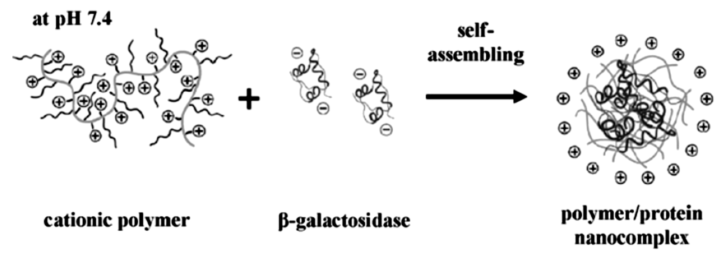 Polymers 05 00576 g002