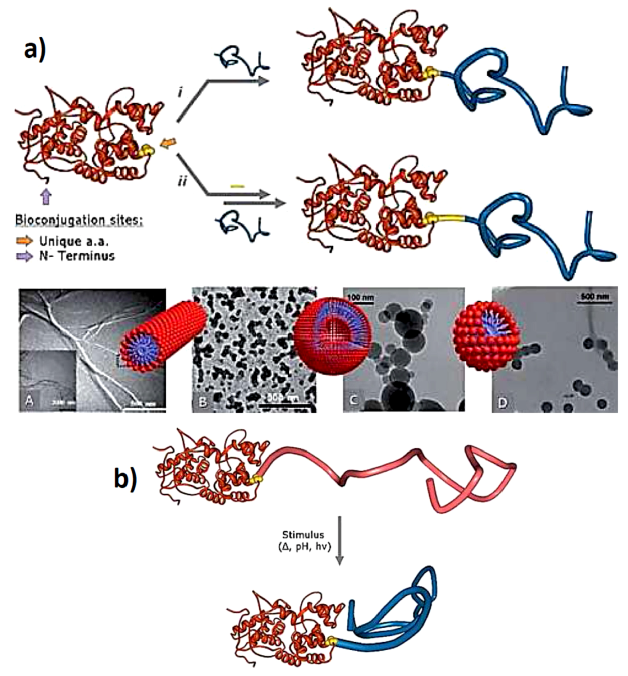Polymers 05 00576 g005