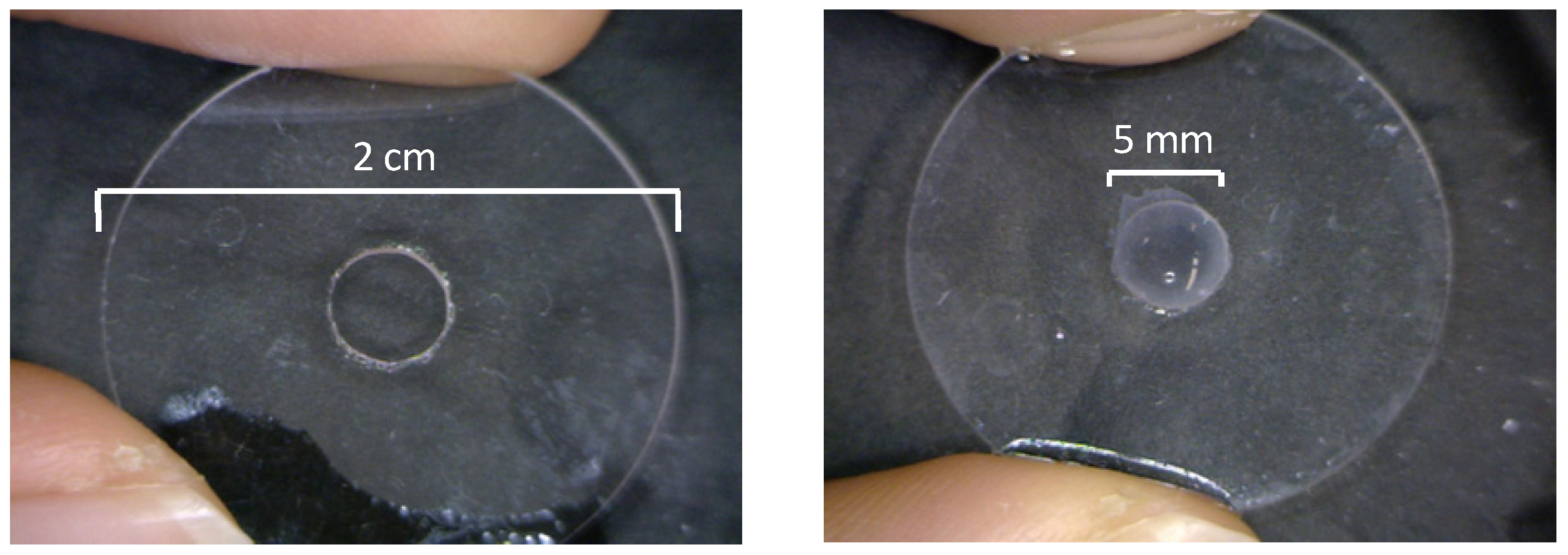 Polymers 05 00696 g003