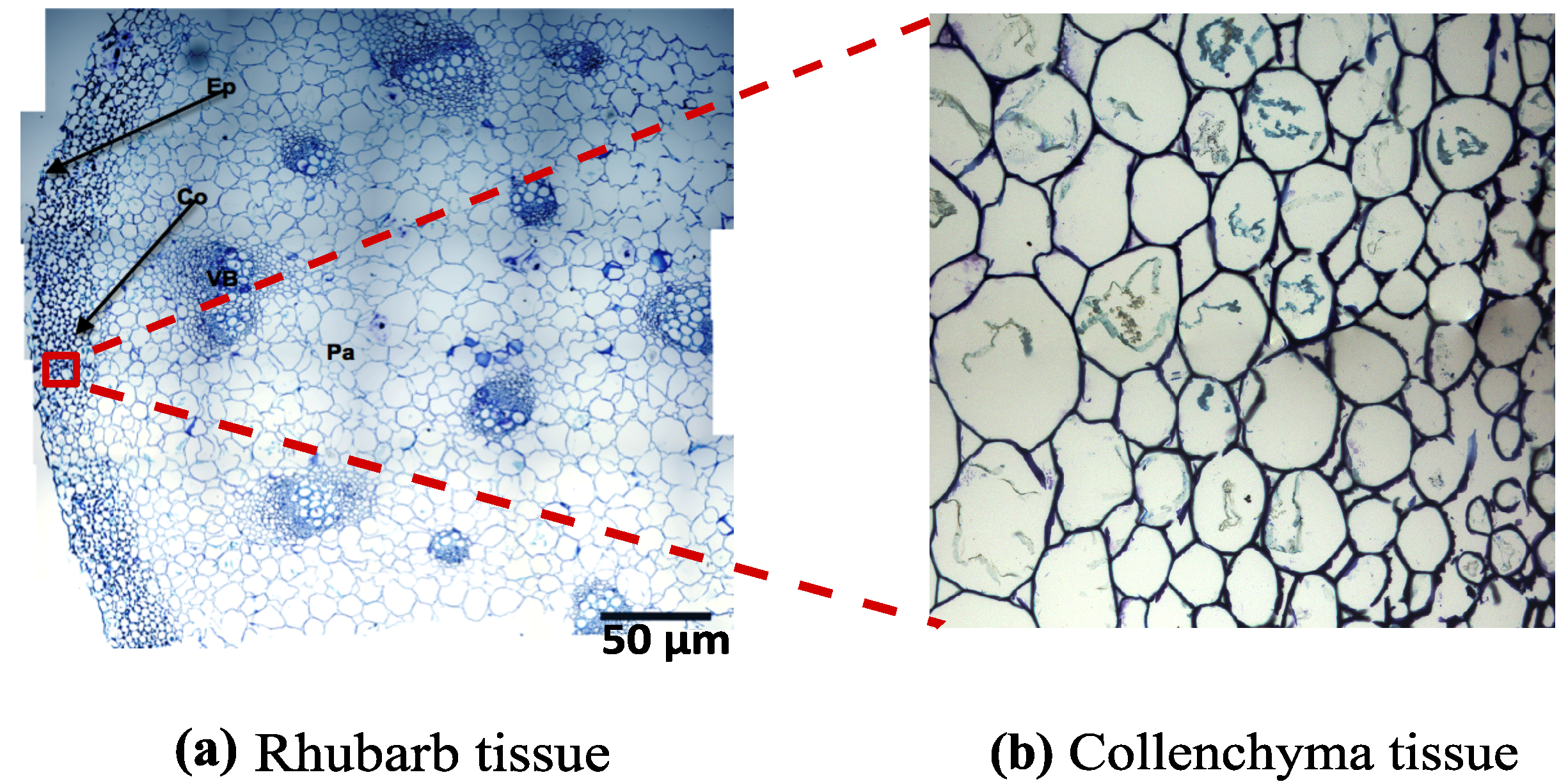 Polymers 05 00730 g008