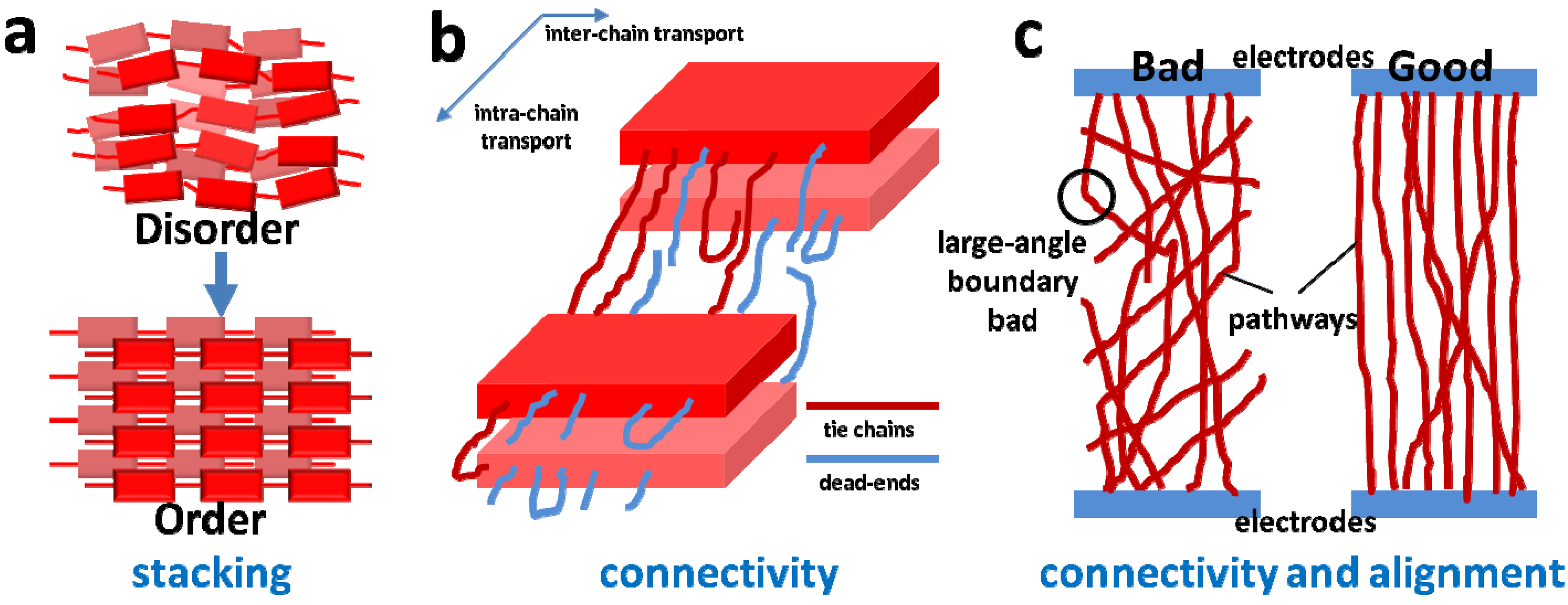 Polymers Free Full Text Structure And Morphology Control In Thin Films Of Conjugated Polymers For An Improved Charge Transport Html
