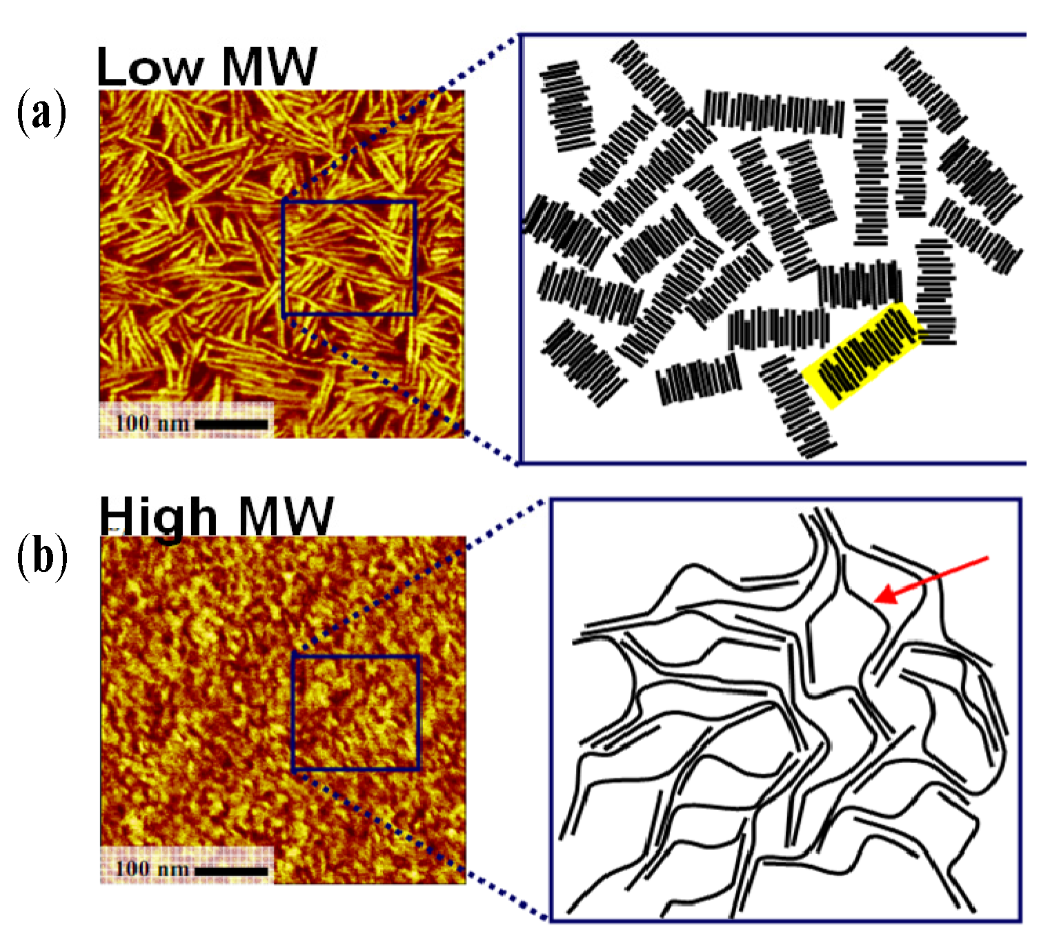 Controlling morphology and microstructure of conjugated polymers