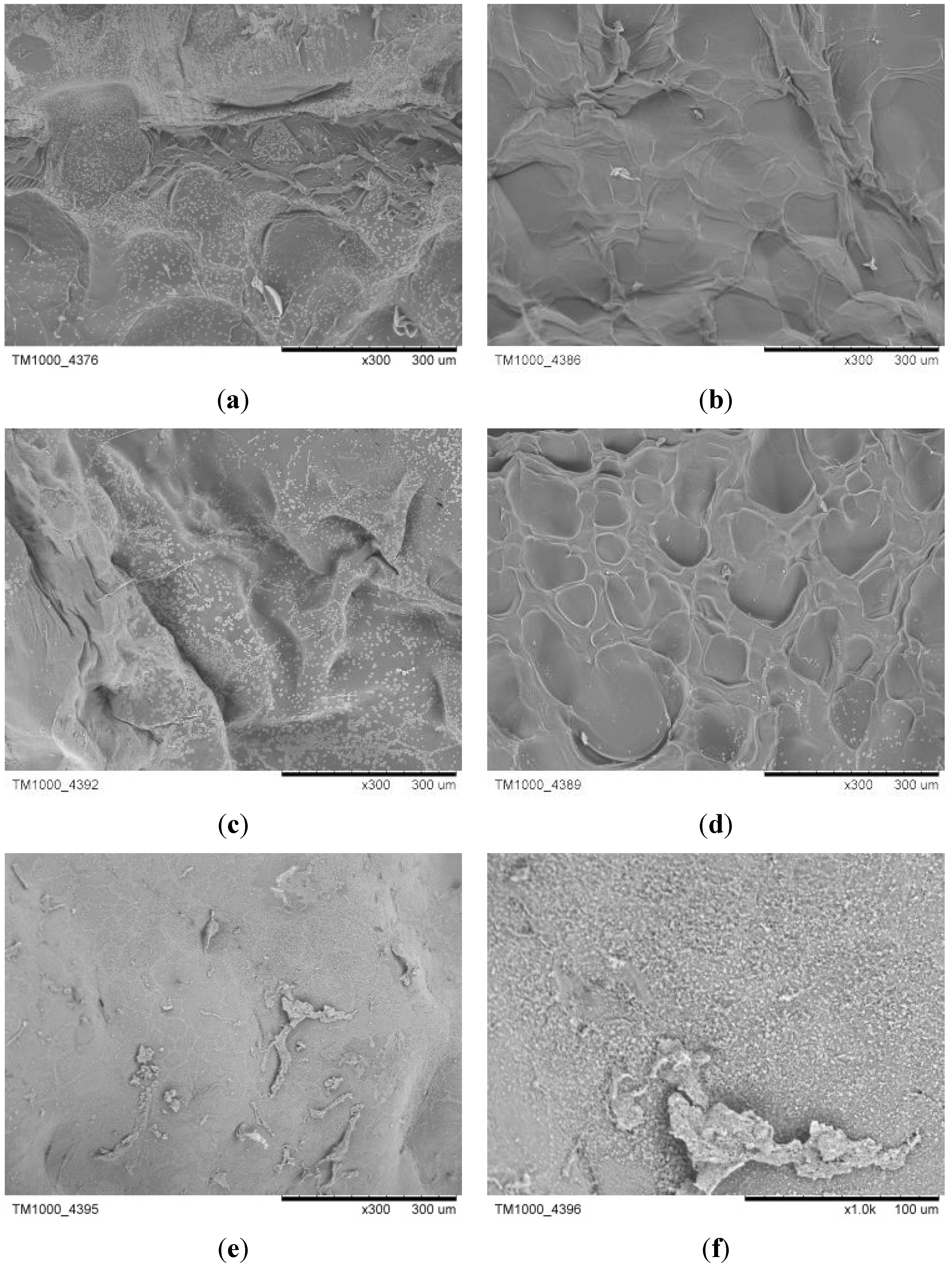 Polymers 06 00039 g006 1024