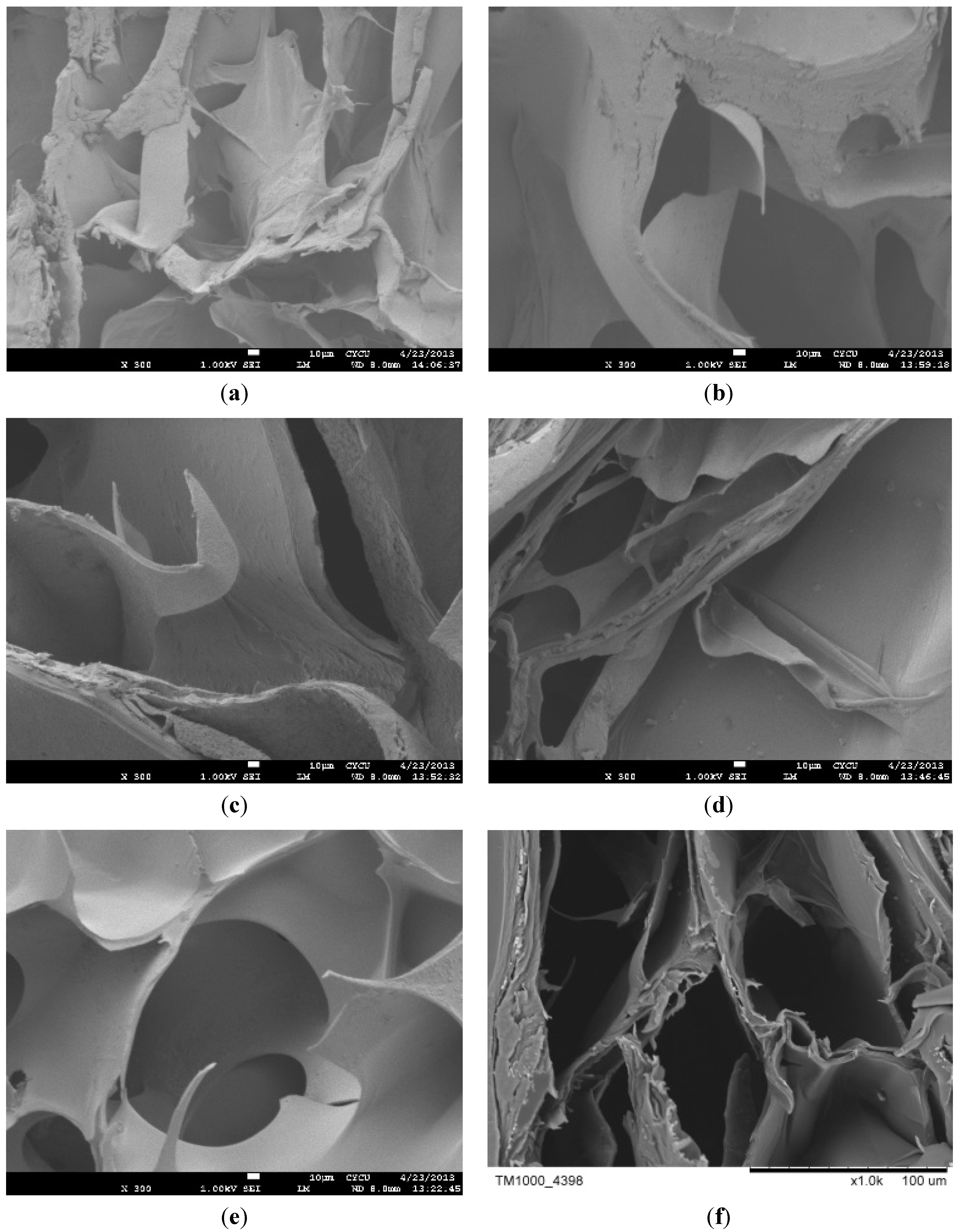 Polymers 06 00039 g007 1024