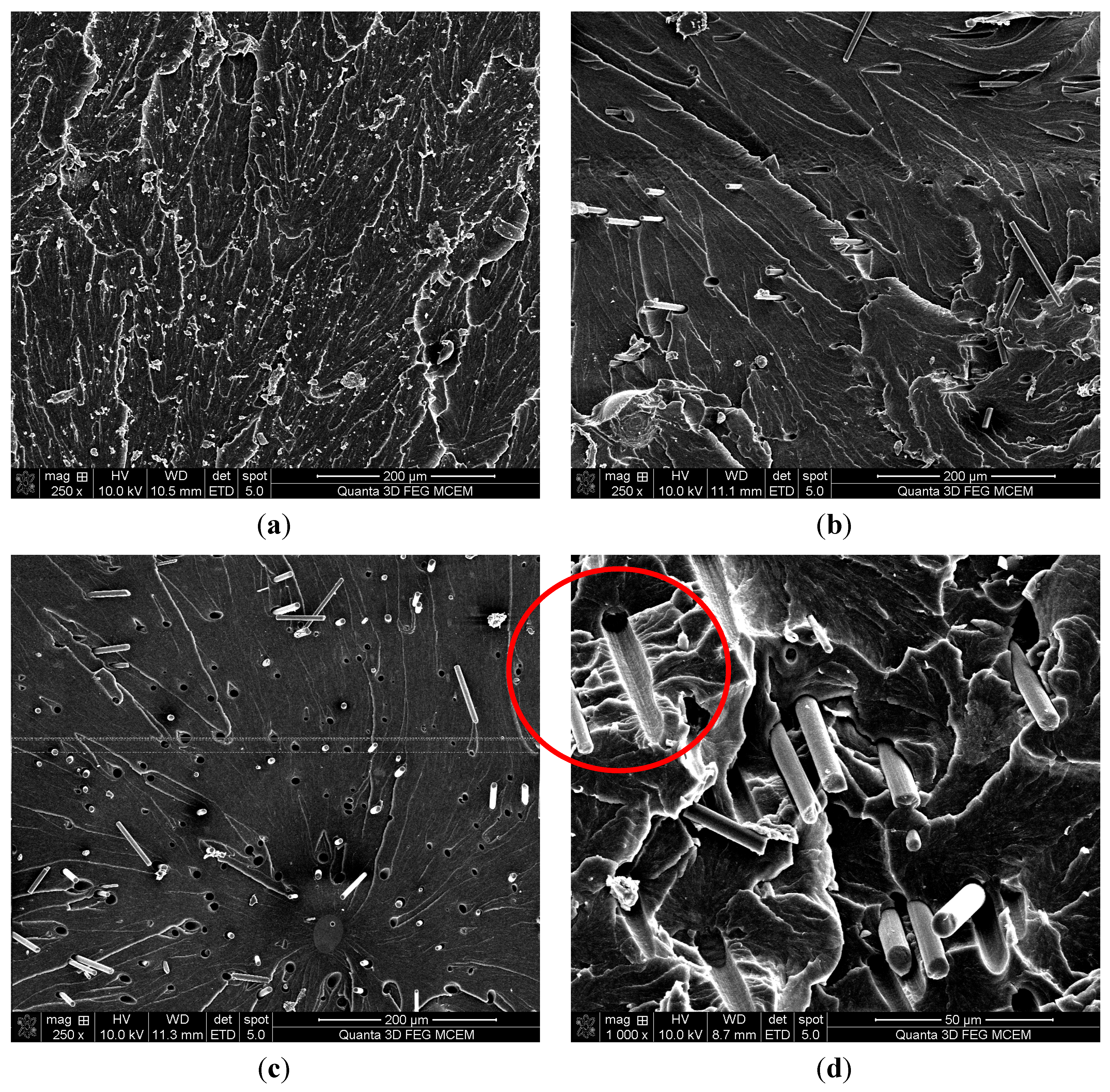 Polymers 06 00076 g008