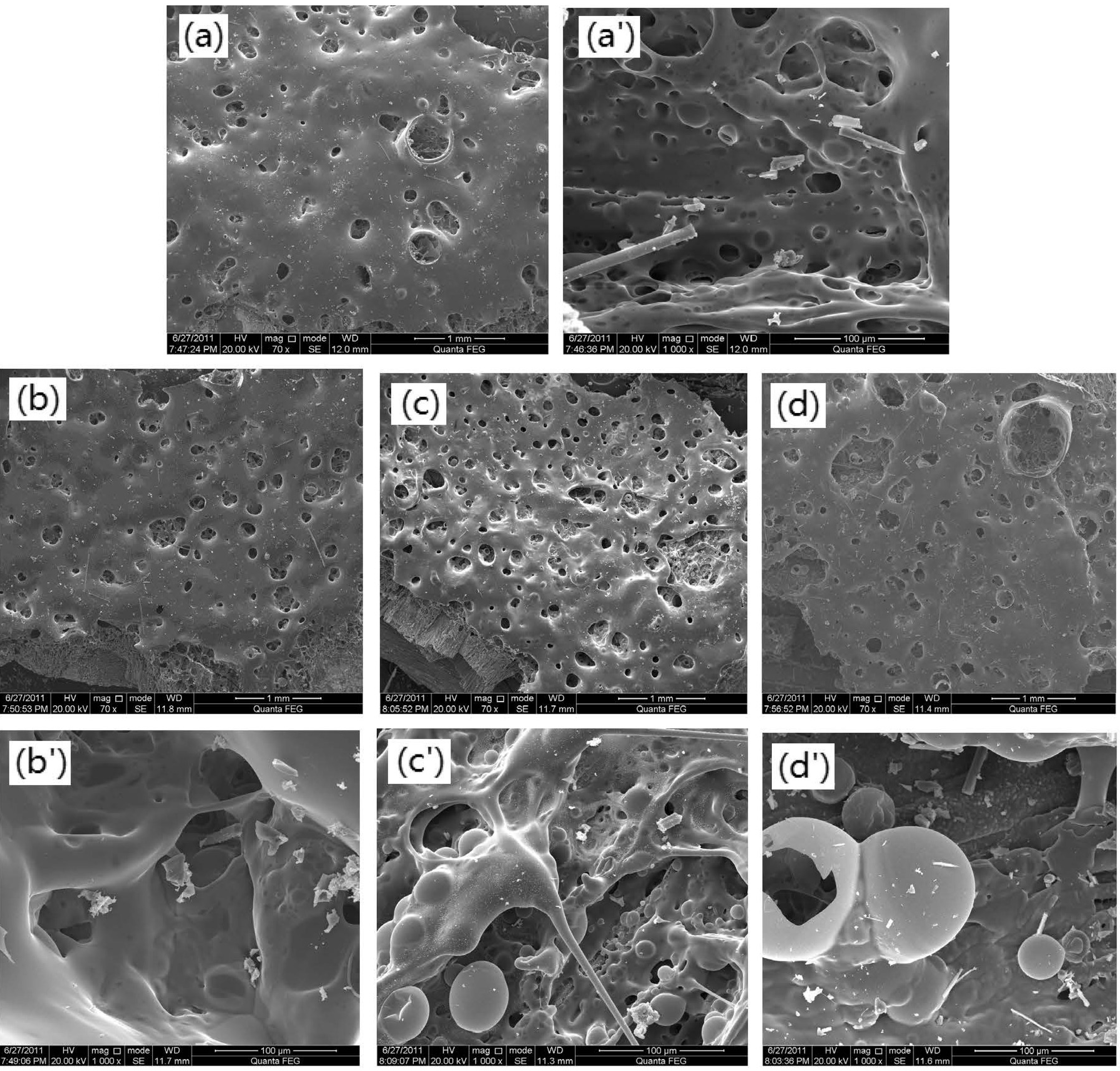 Polymers 06 00105 g002