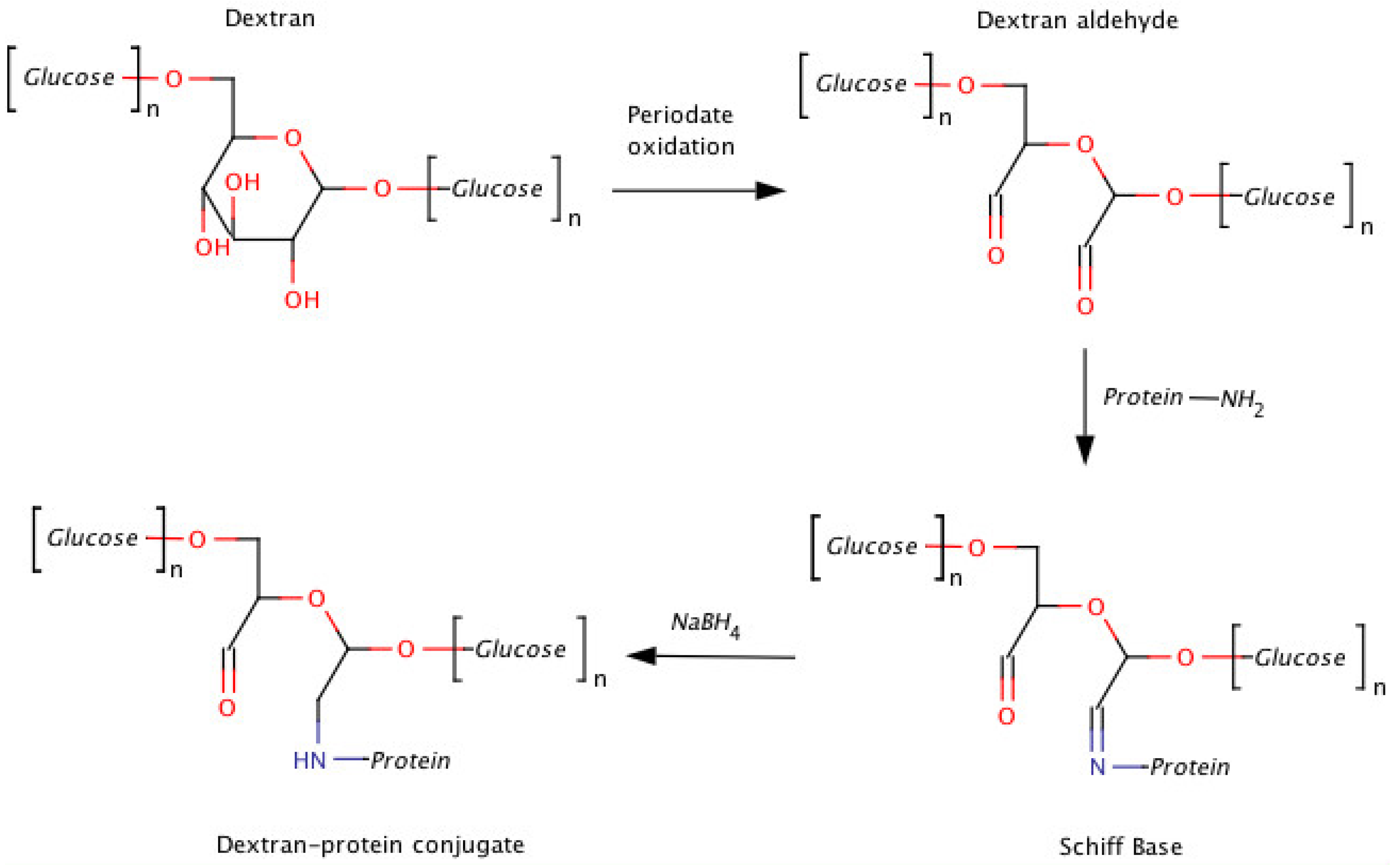 Polymers Free FullText Polymers for Protein Conjugation