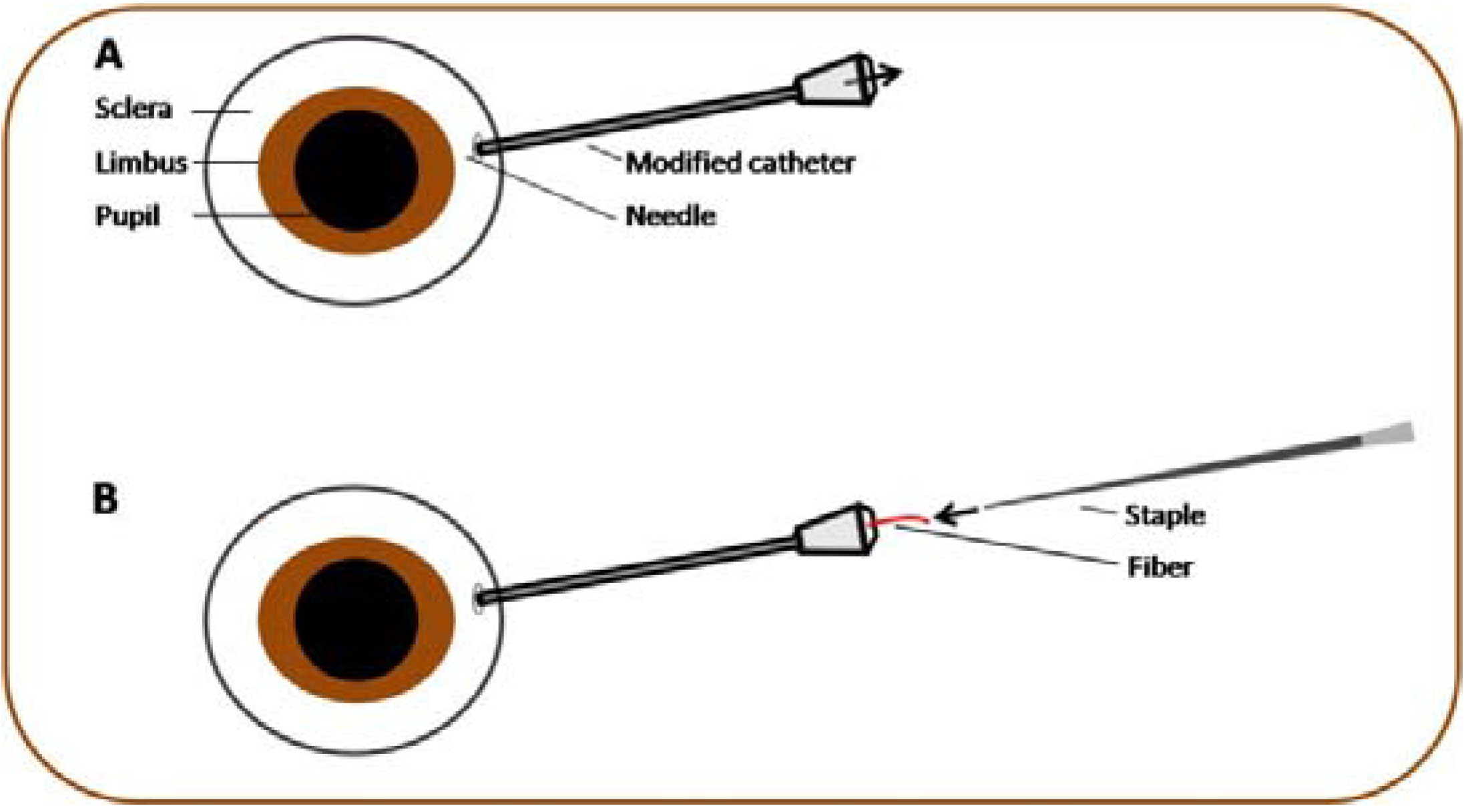 Polymers 06 00243 g003 1024