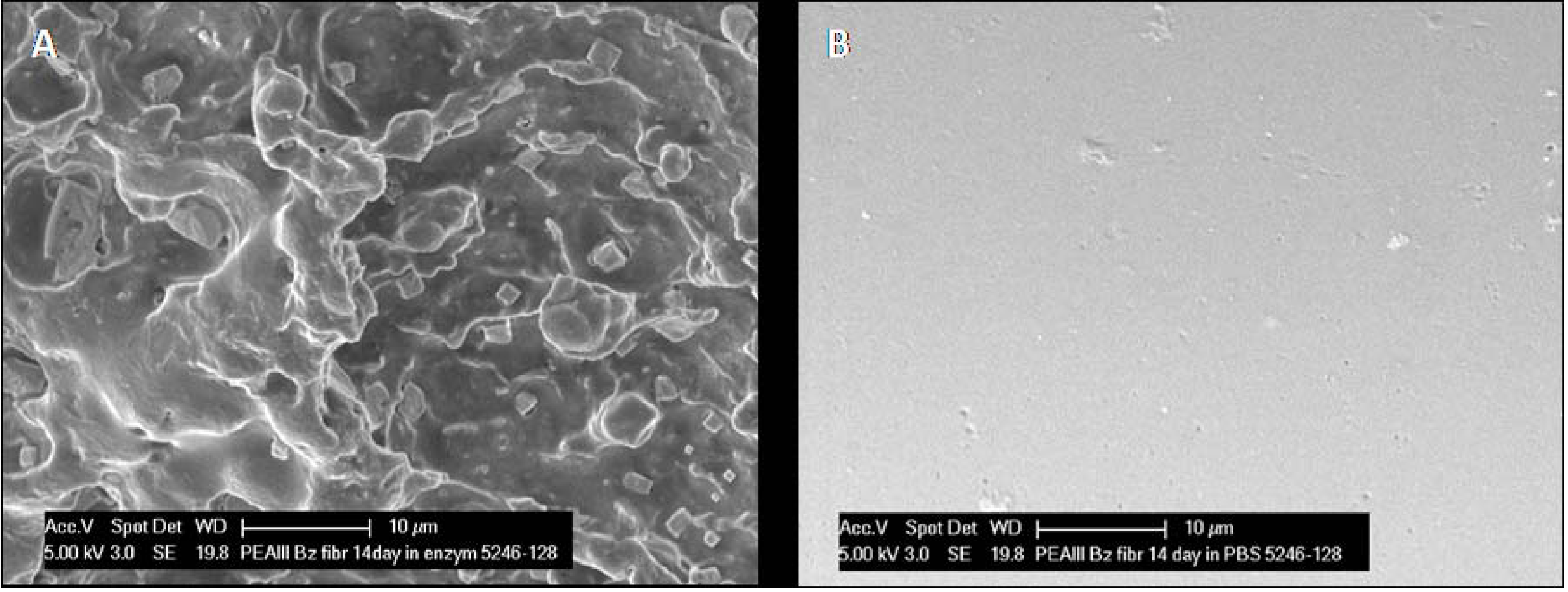 Polymers 06 00243 g005 1024