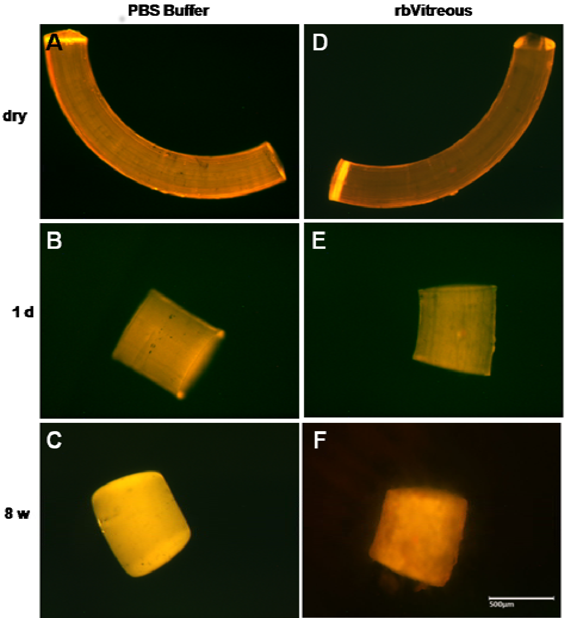 Polymers 06 00243 g006 1024