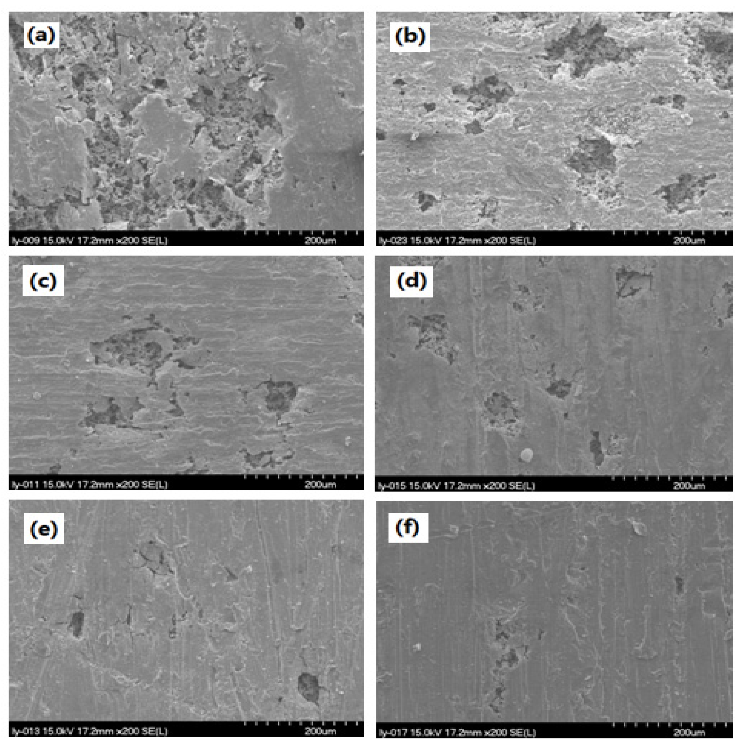 Polymers 06 00300 g003 1024