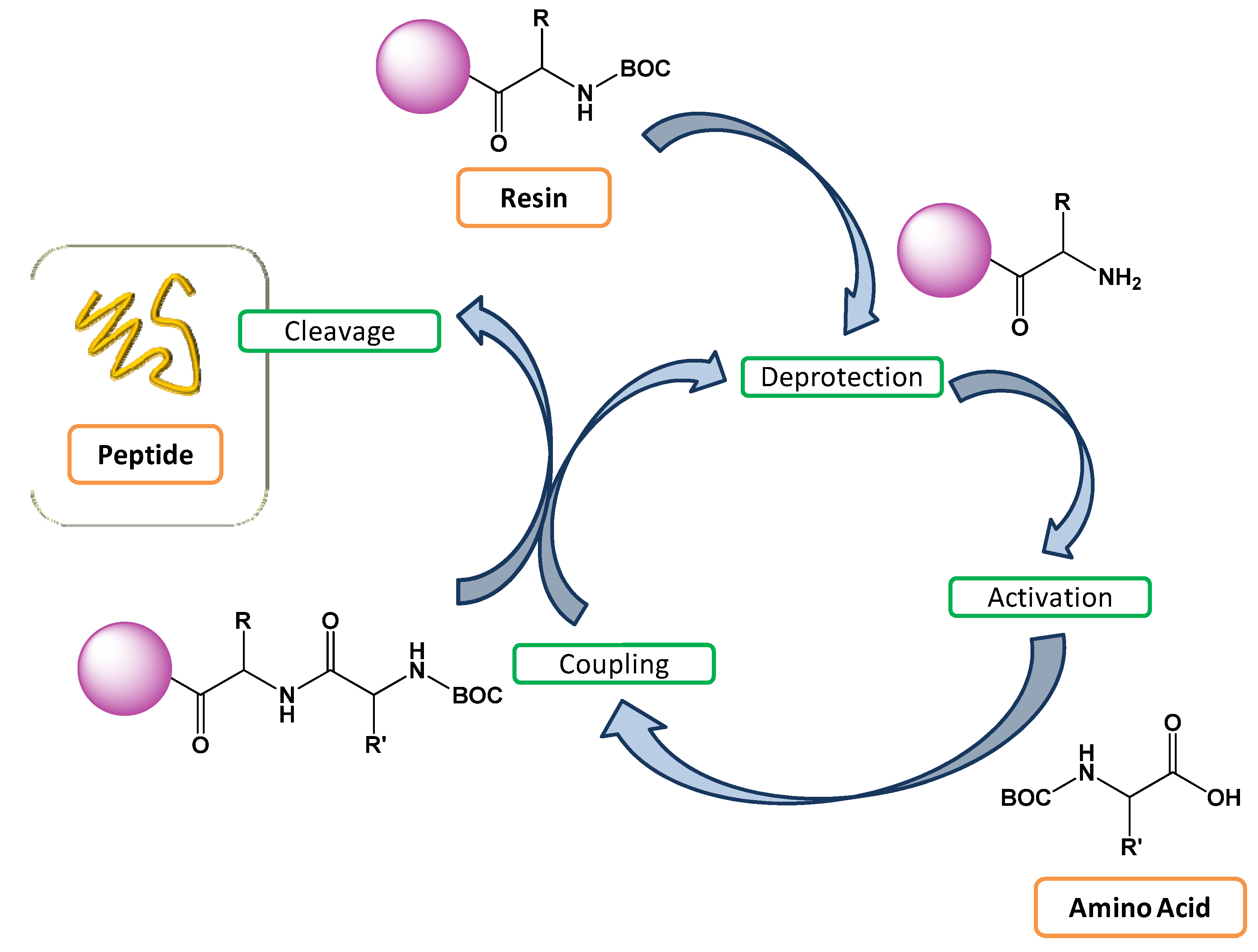 polymers free full text peptide based polymer solid phase peptide synthesis