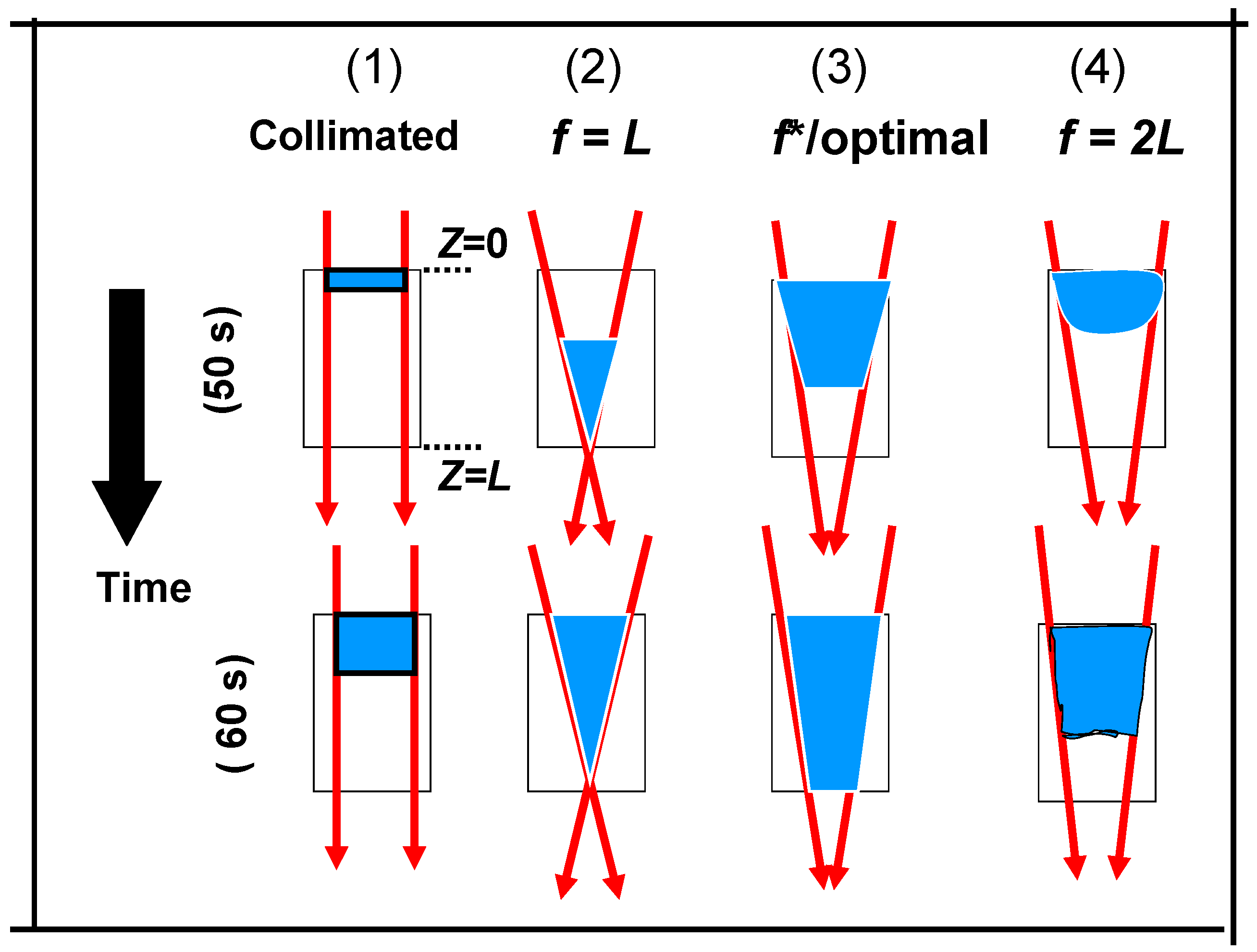 Polymers 06 00552 g010 1024