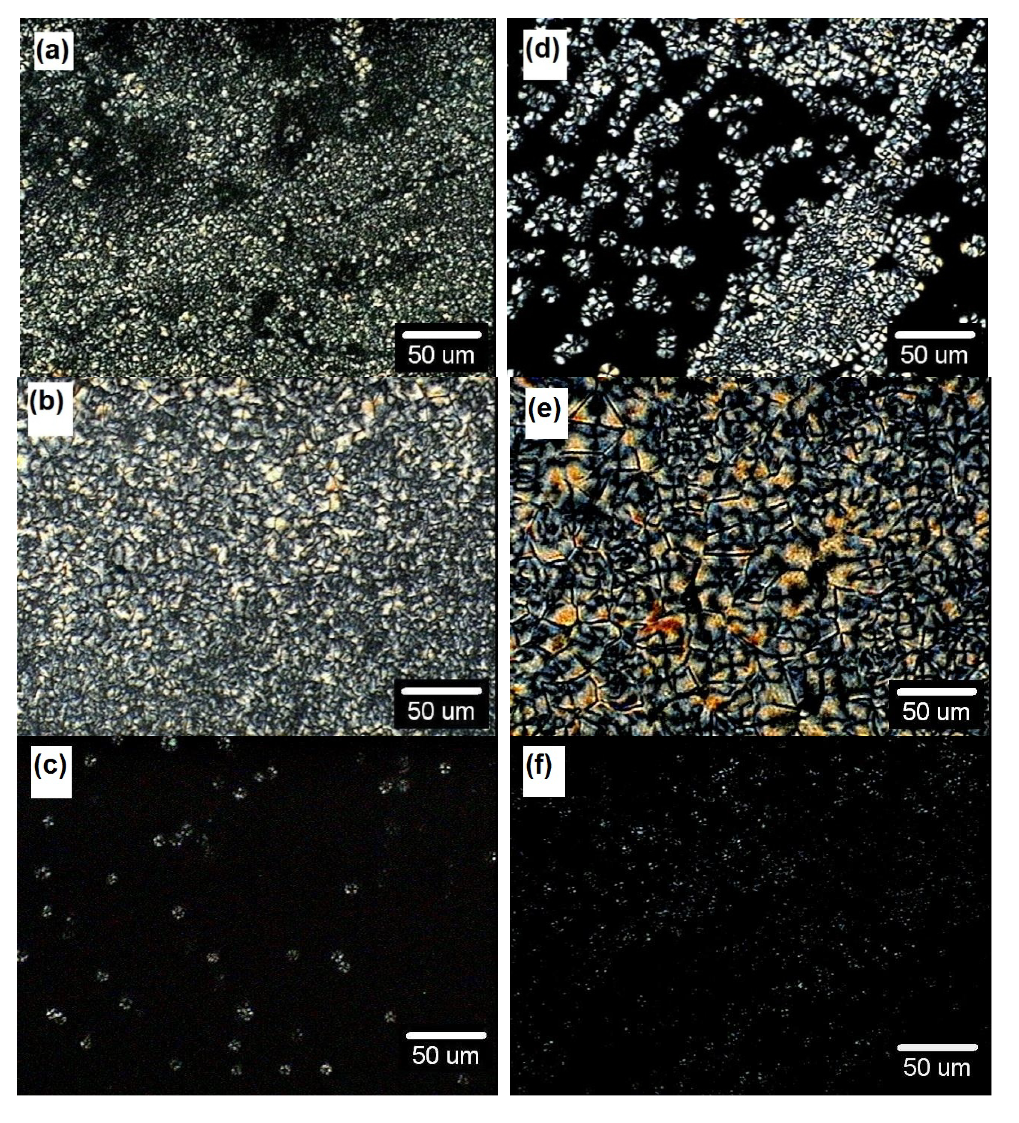 Polymers 06 00583 g002 1024
