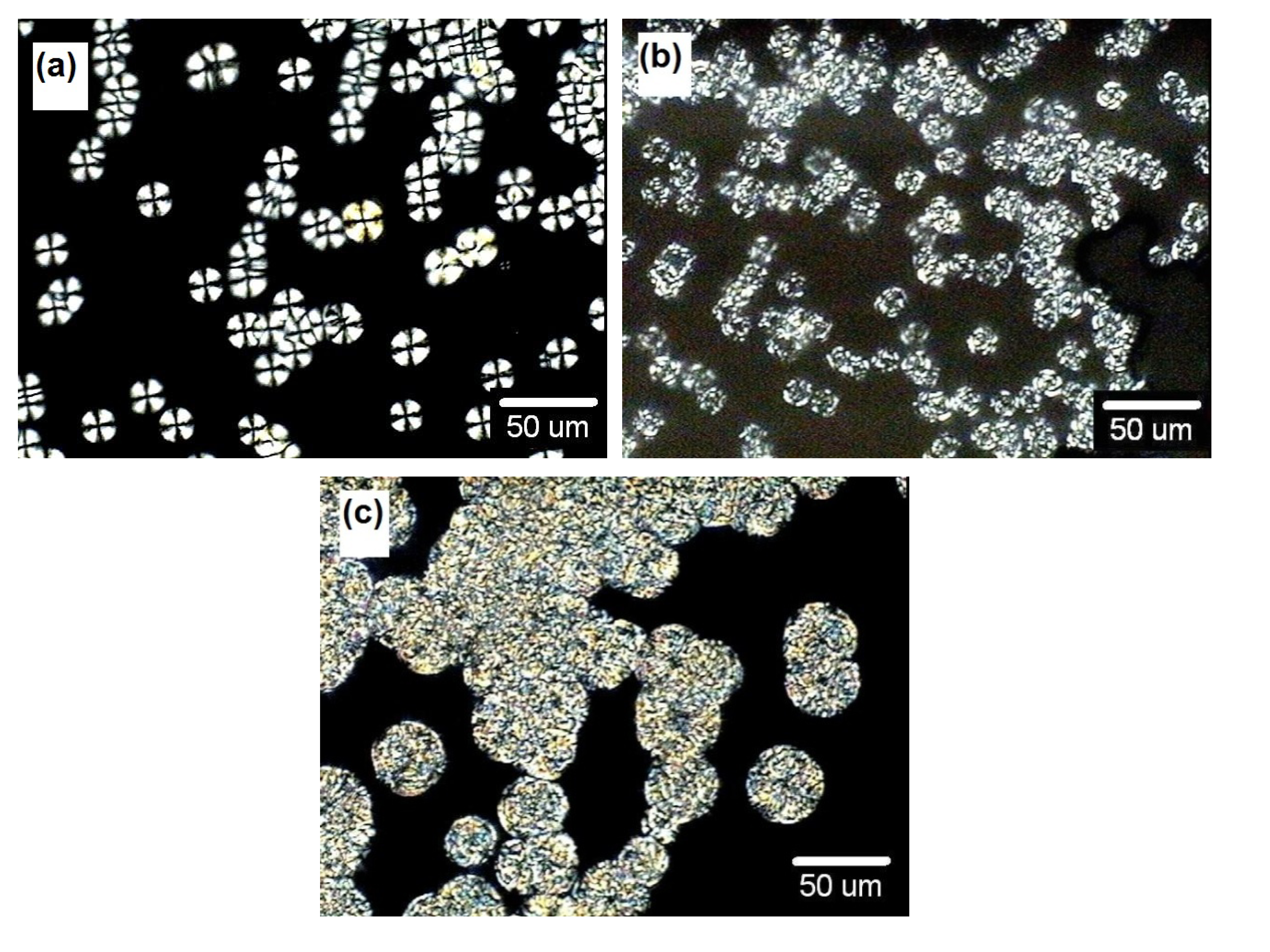 Polymers 06 00583 g003 1024