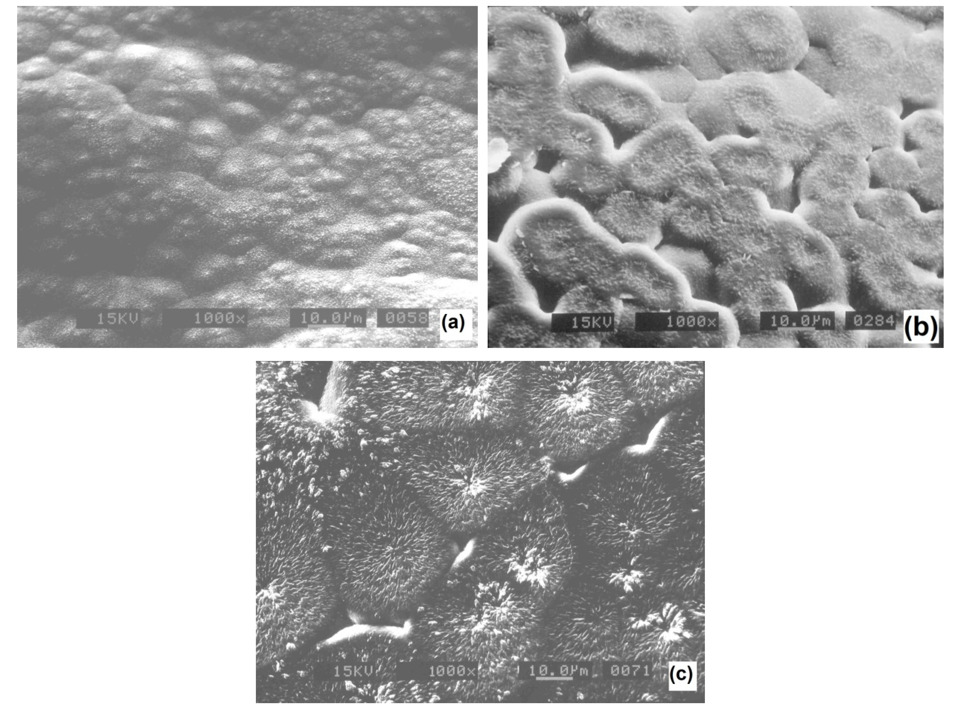 Polymers 06 00583 g004 1024