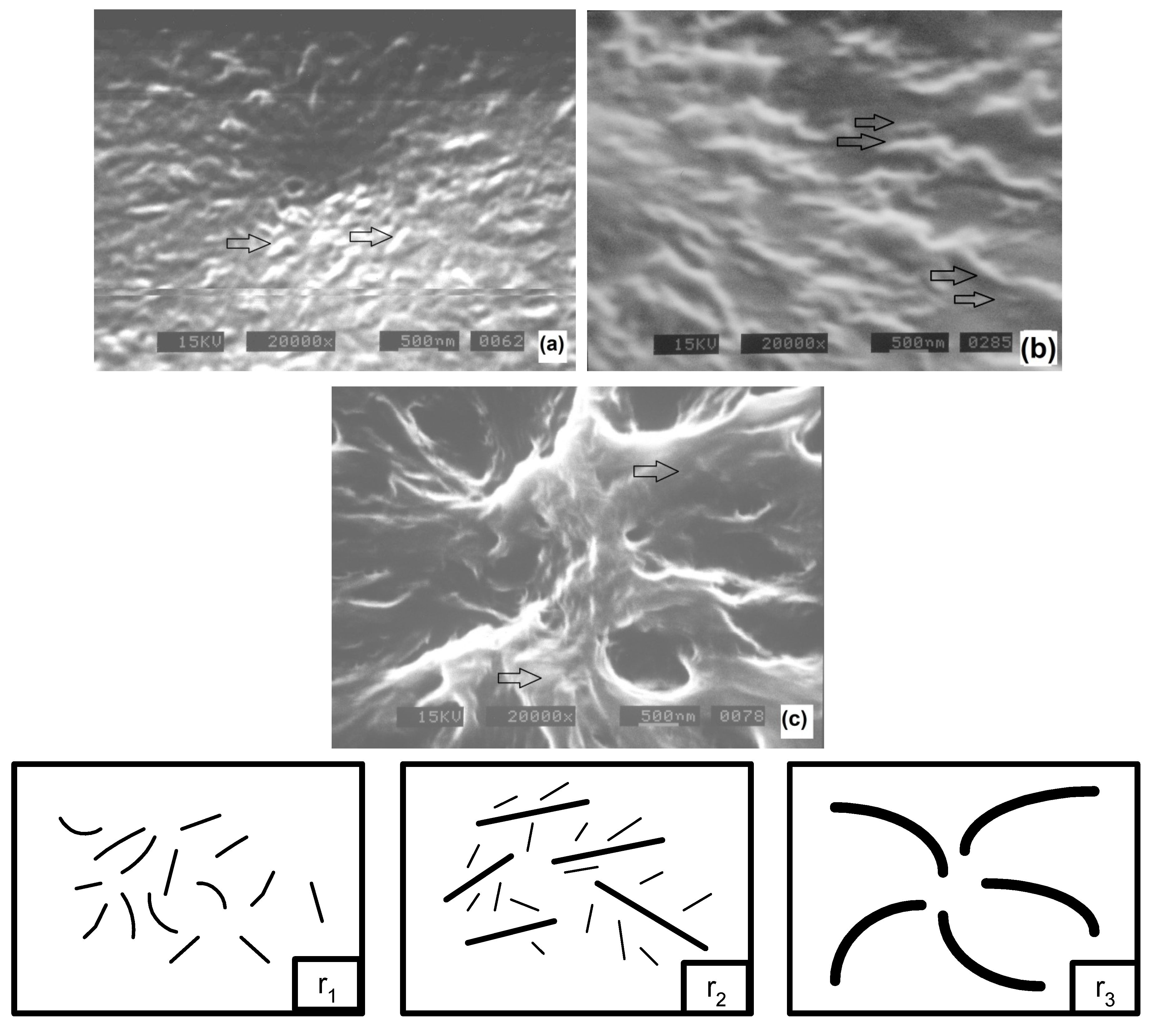 Polymers 06 00583 g006 1024