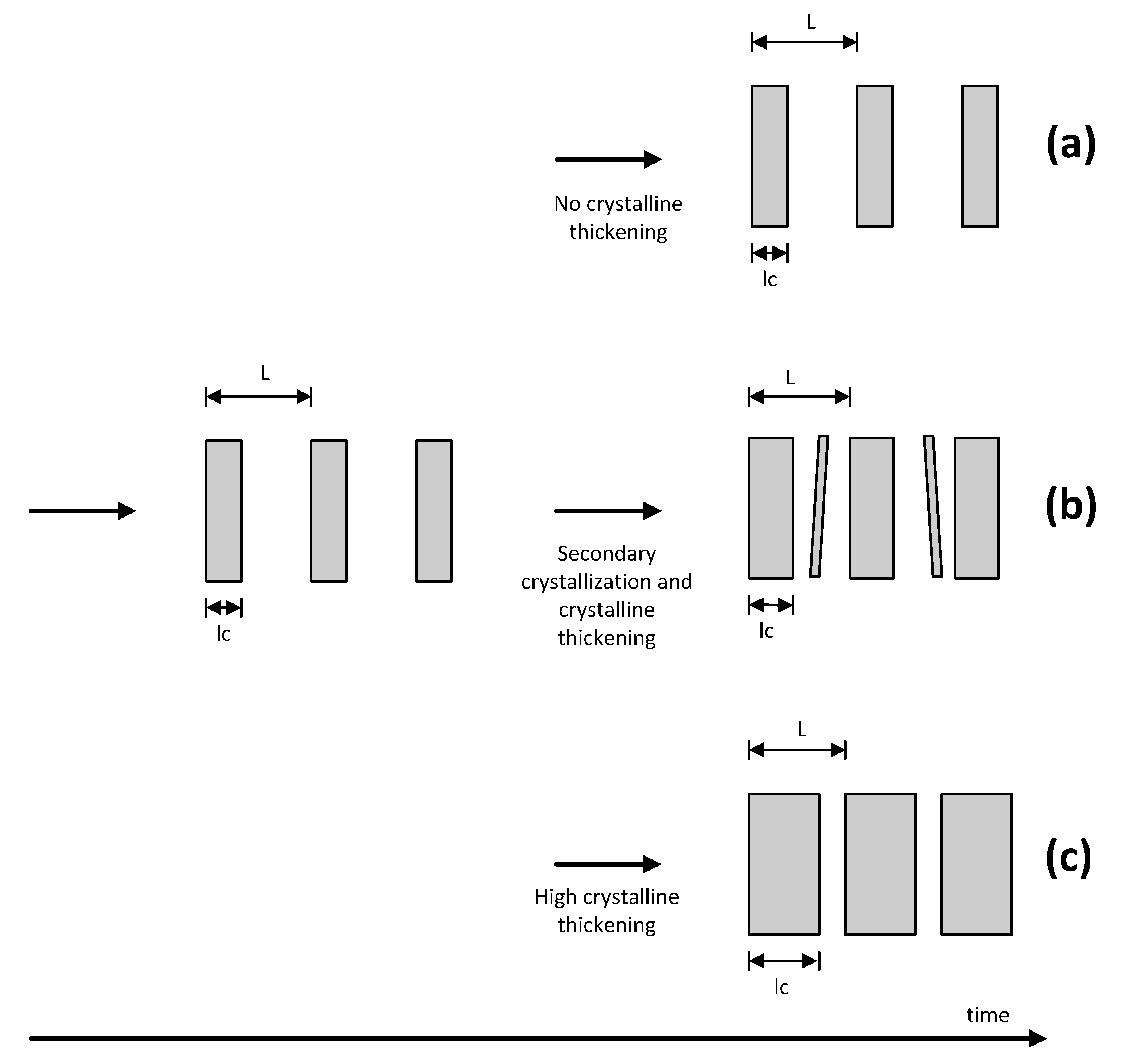 Polymers 06 00583 g014 1024