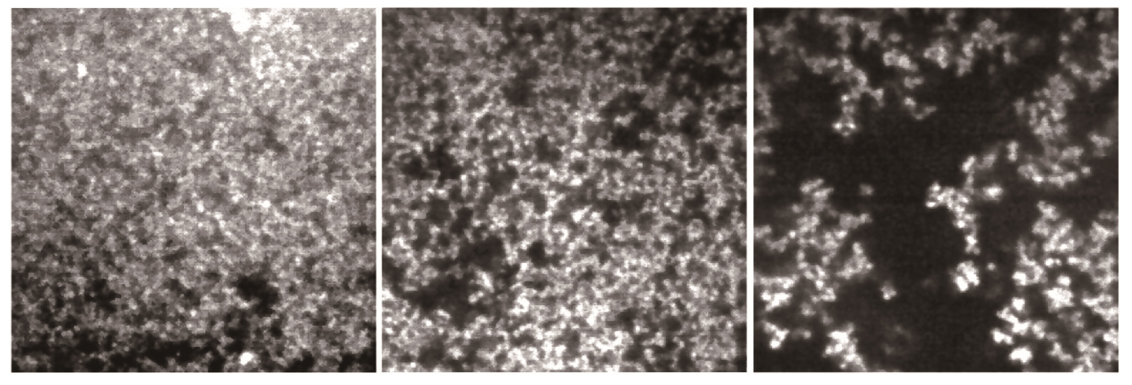 Polymers 06 00651 g009 1024