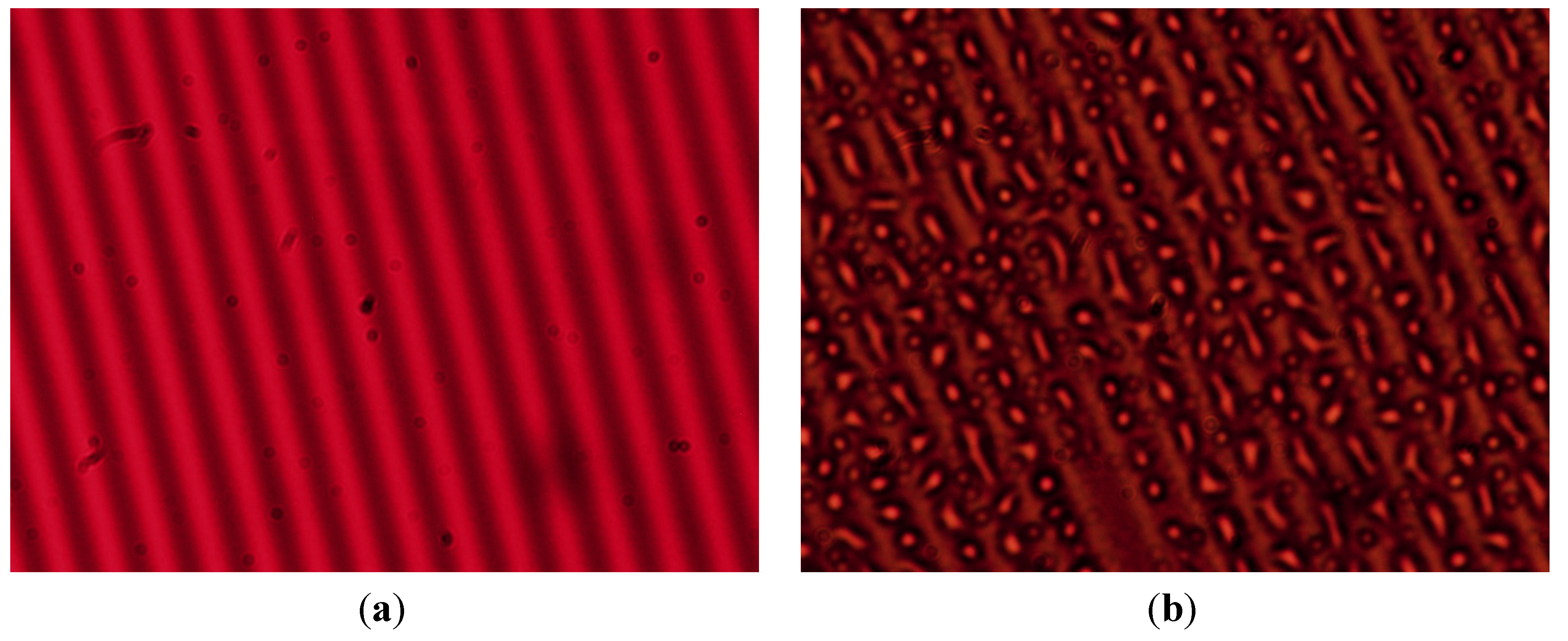 Polymers 06 00899 g018 1024