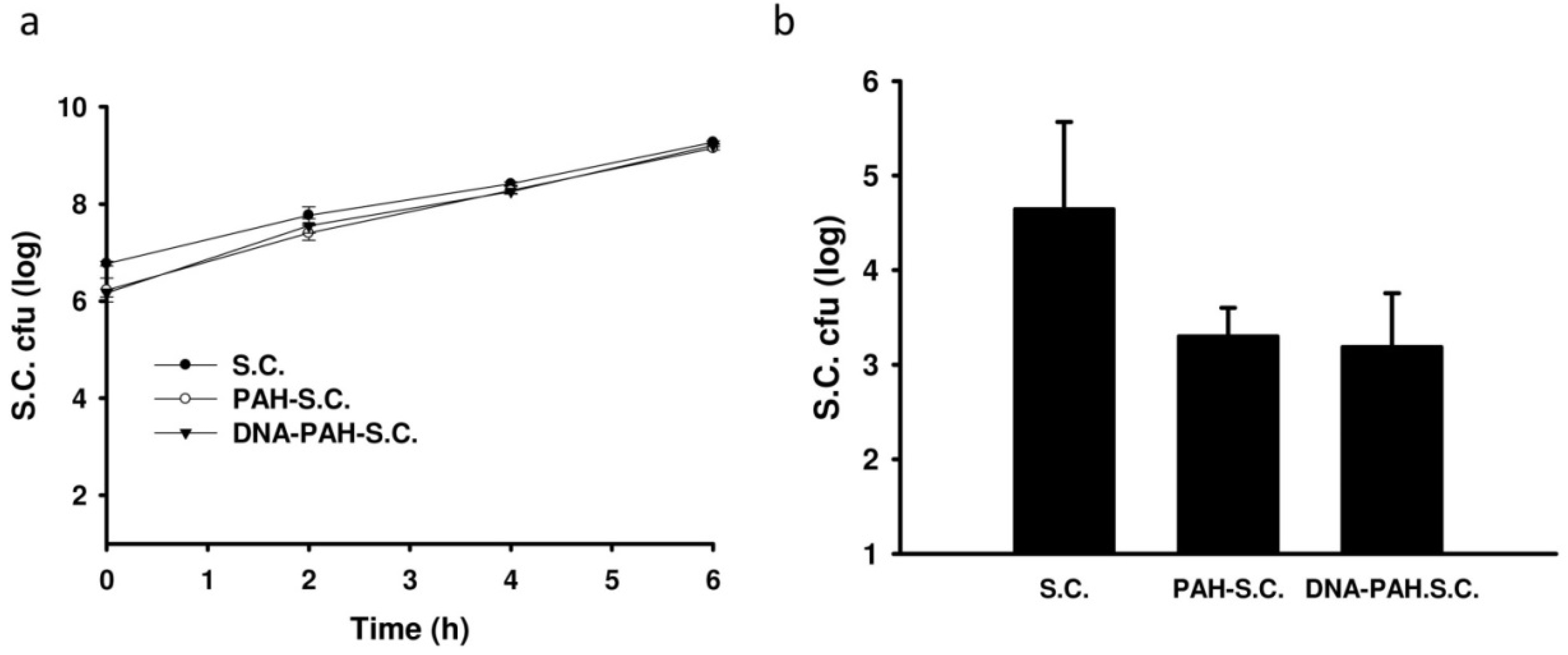 Polymers 06 01119 g002