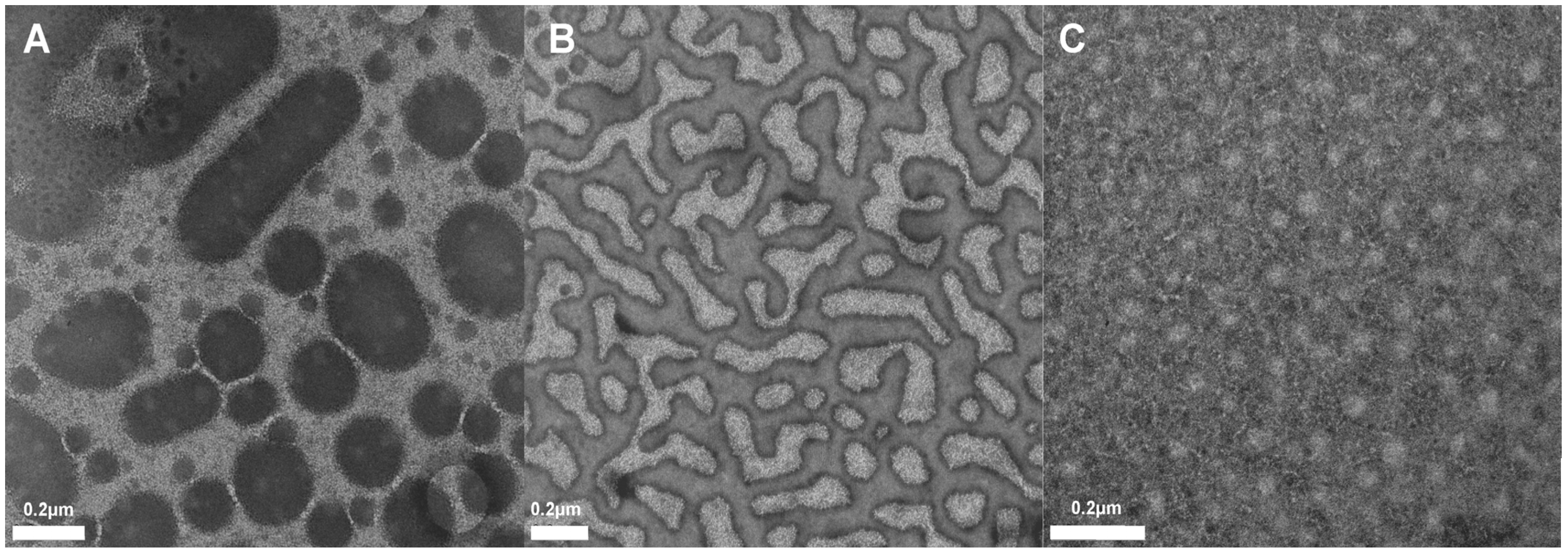 Polymers 06 01437 g004
