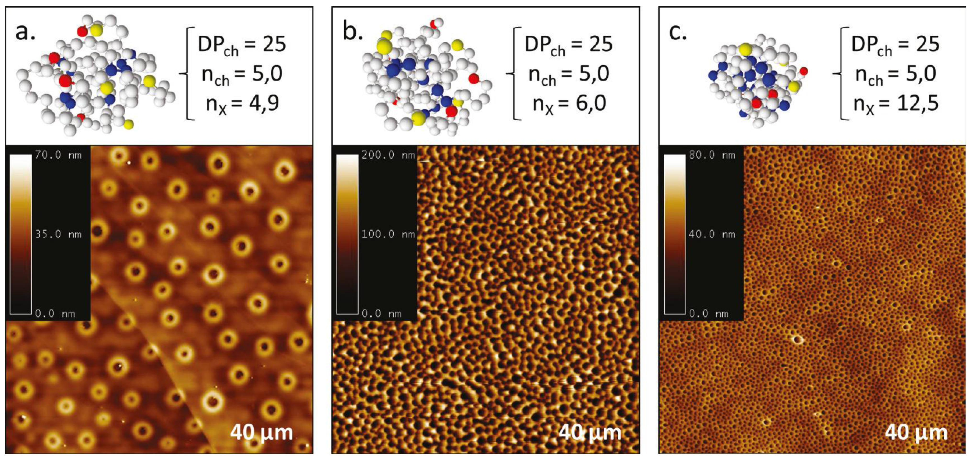 Polymers 06 01437 g013