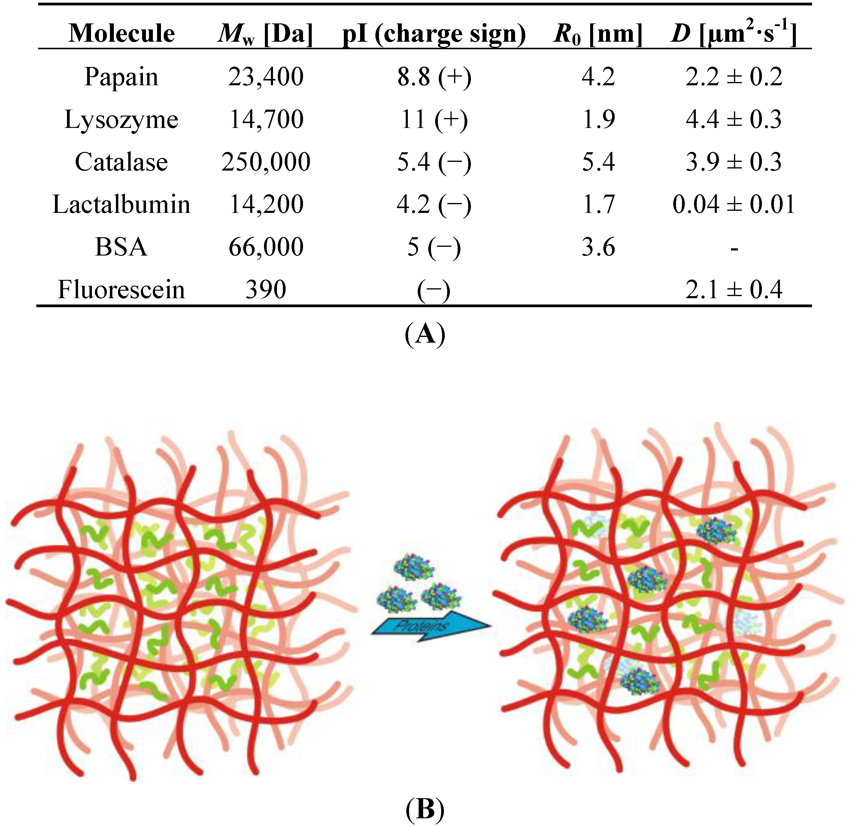 Polymers 06 01502 g003