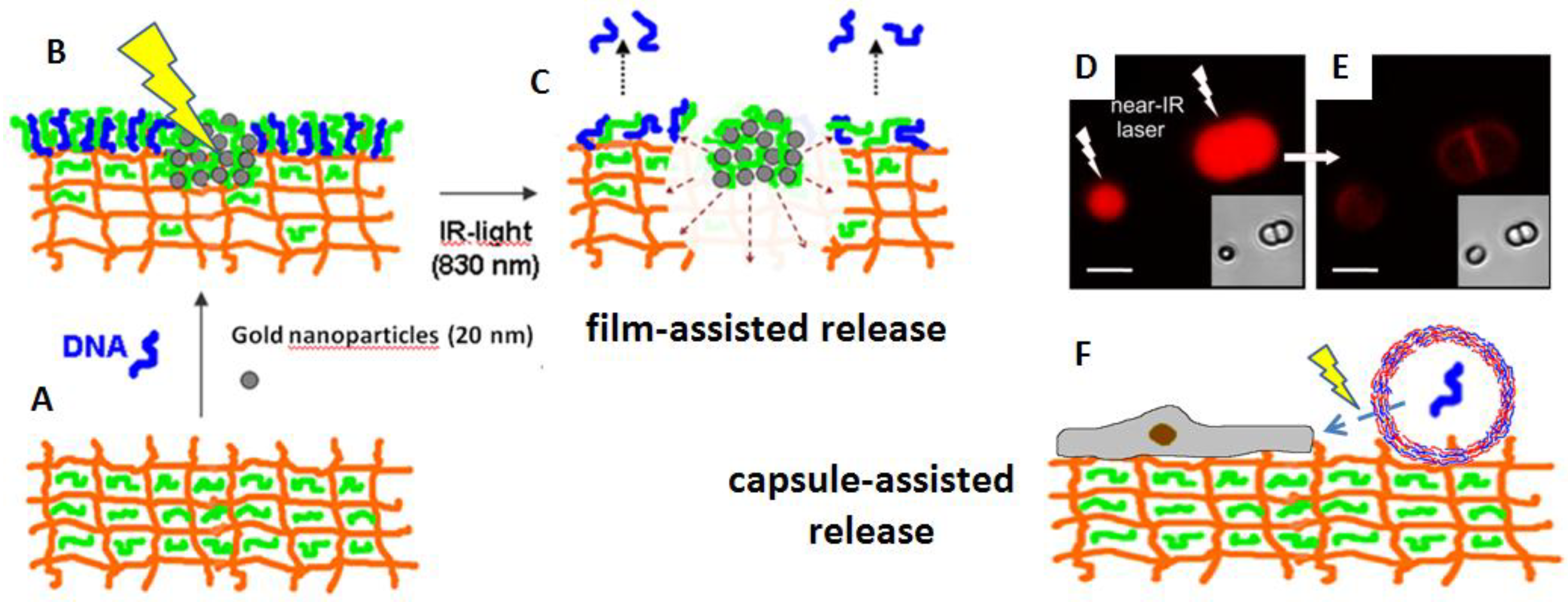 Polymers 06 01502 g009