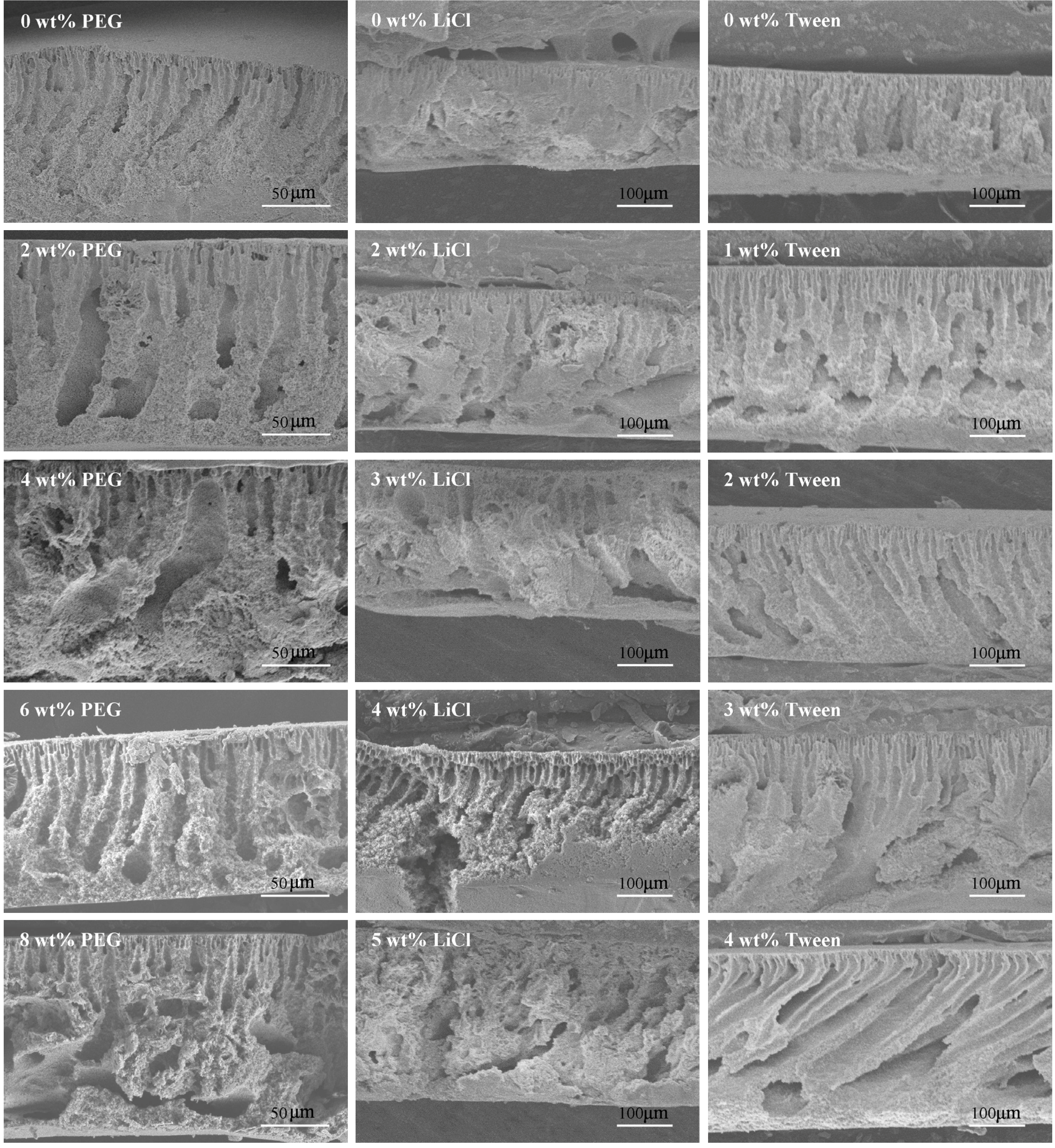 Polymers 06 01846 g003