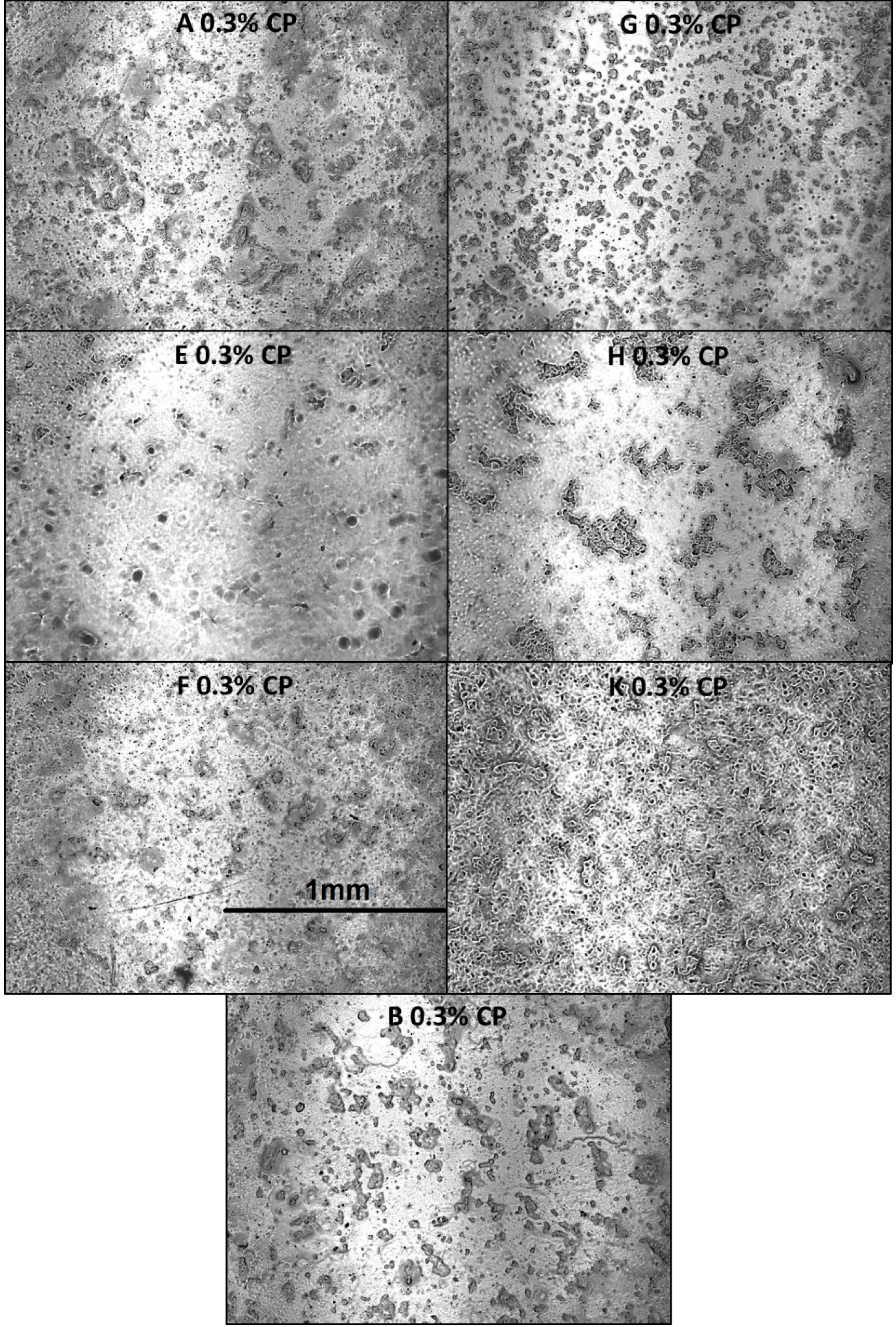 Polymers 06 02018 g004