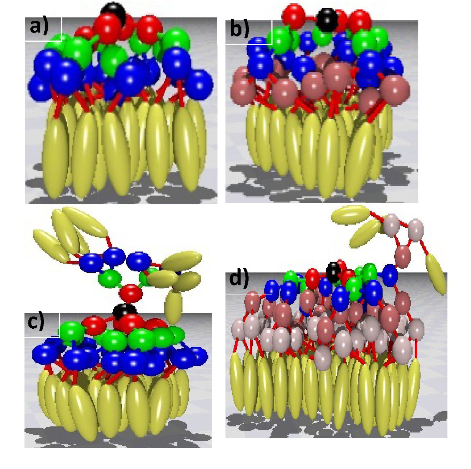 Polymers 06 02082 g003 1024