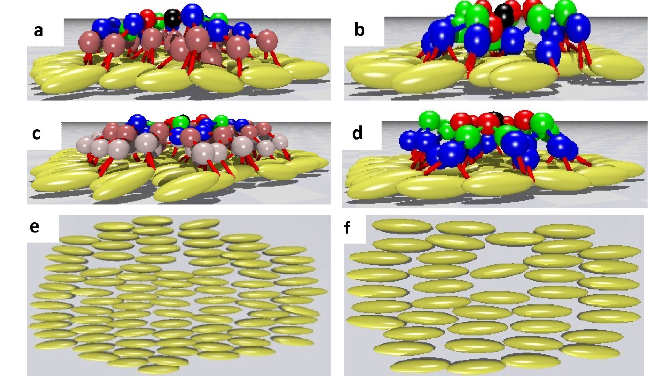 Polymers 06 02082 g009 1024