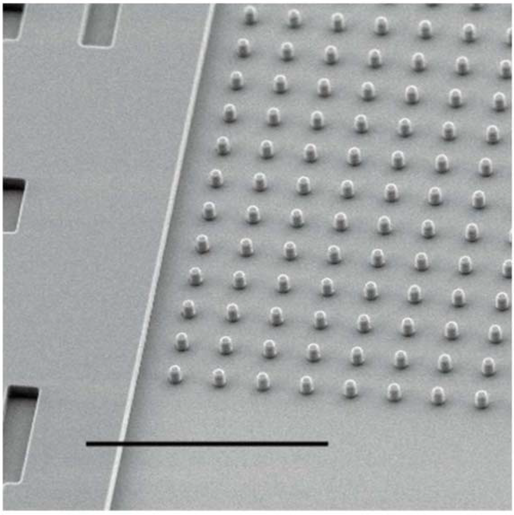 Polymers Special Issue ShapeMemory Polymers