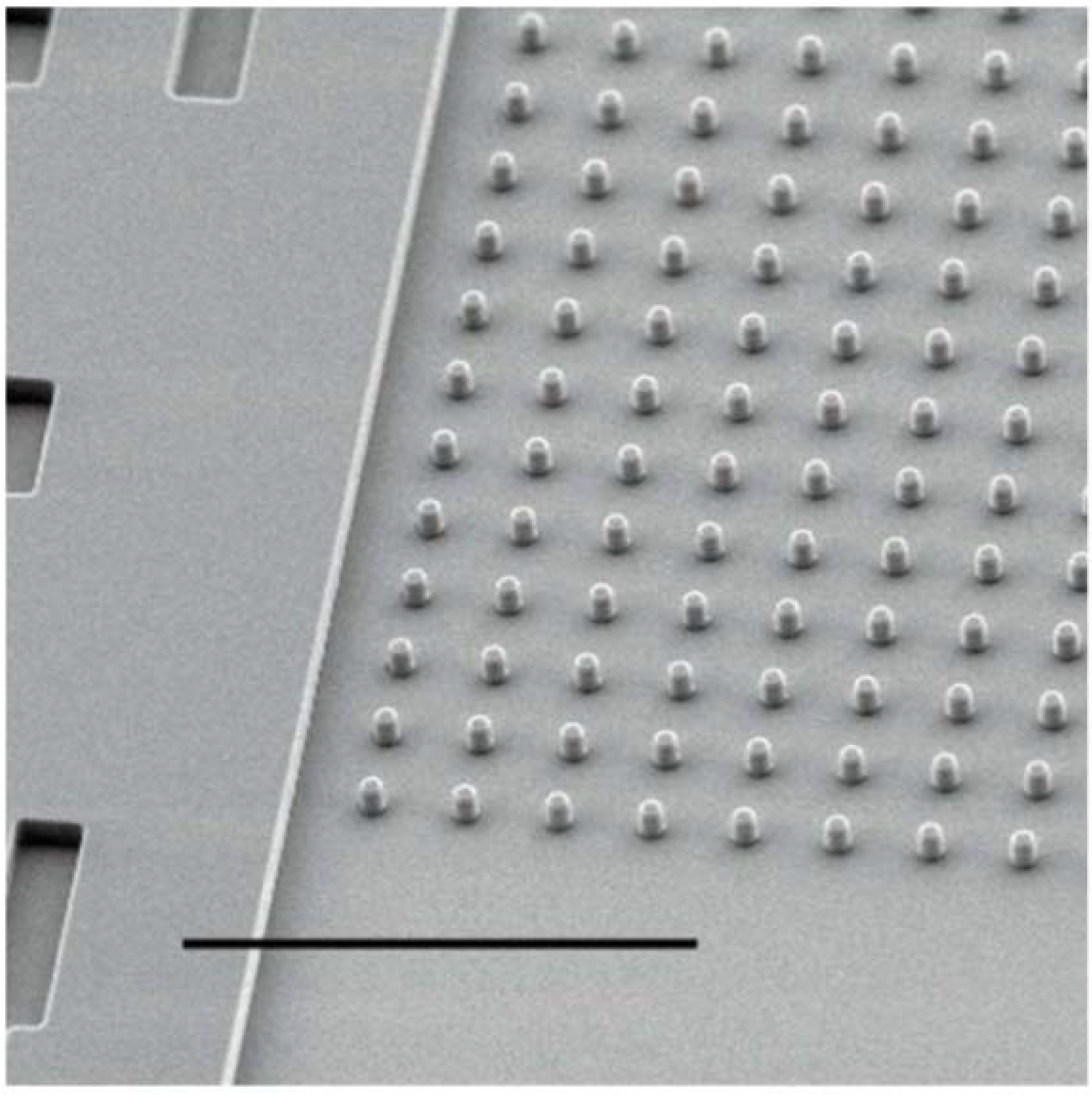 Polymers 06 02309 g004 1024