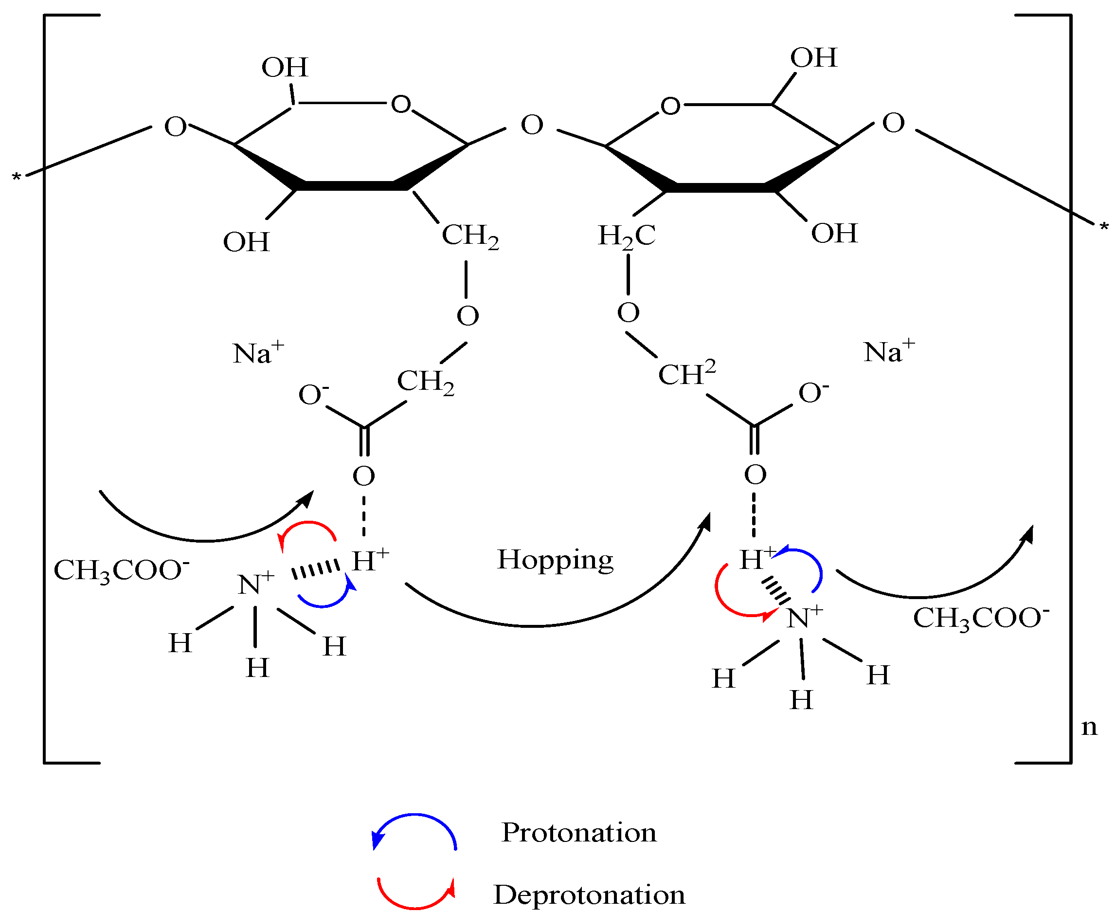 Polymers 06 02371 g009