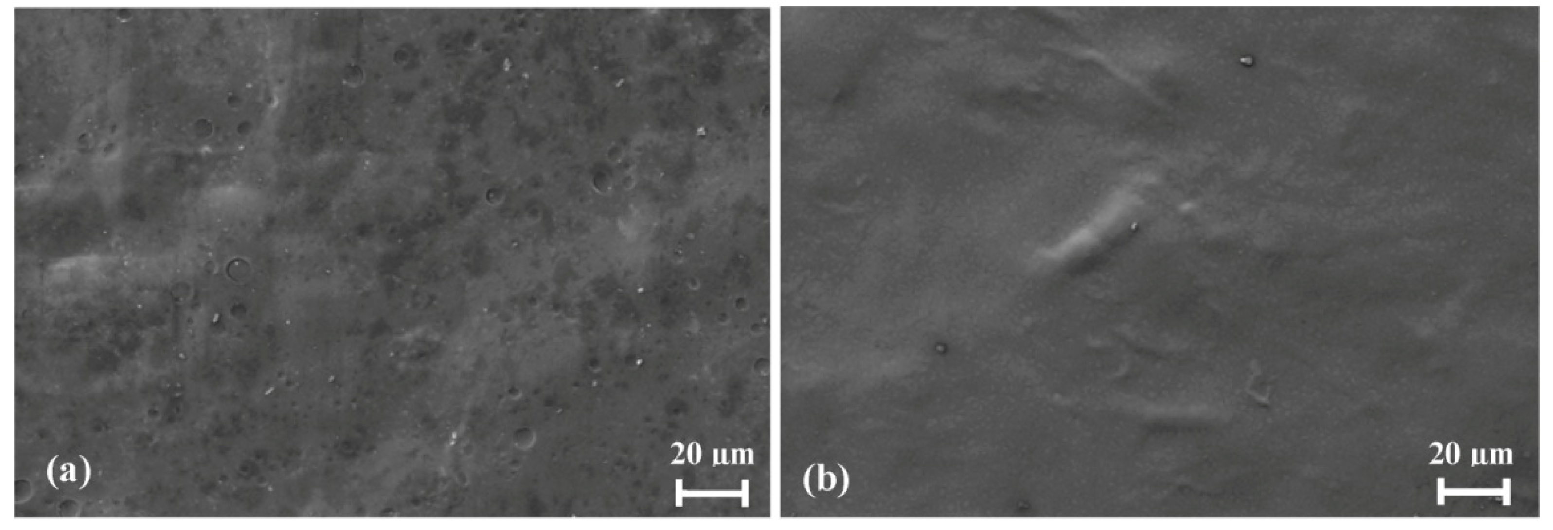 Polymers 06 02371 g012