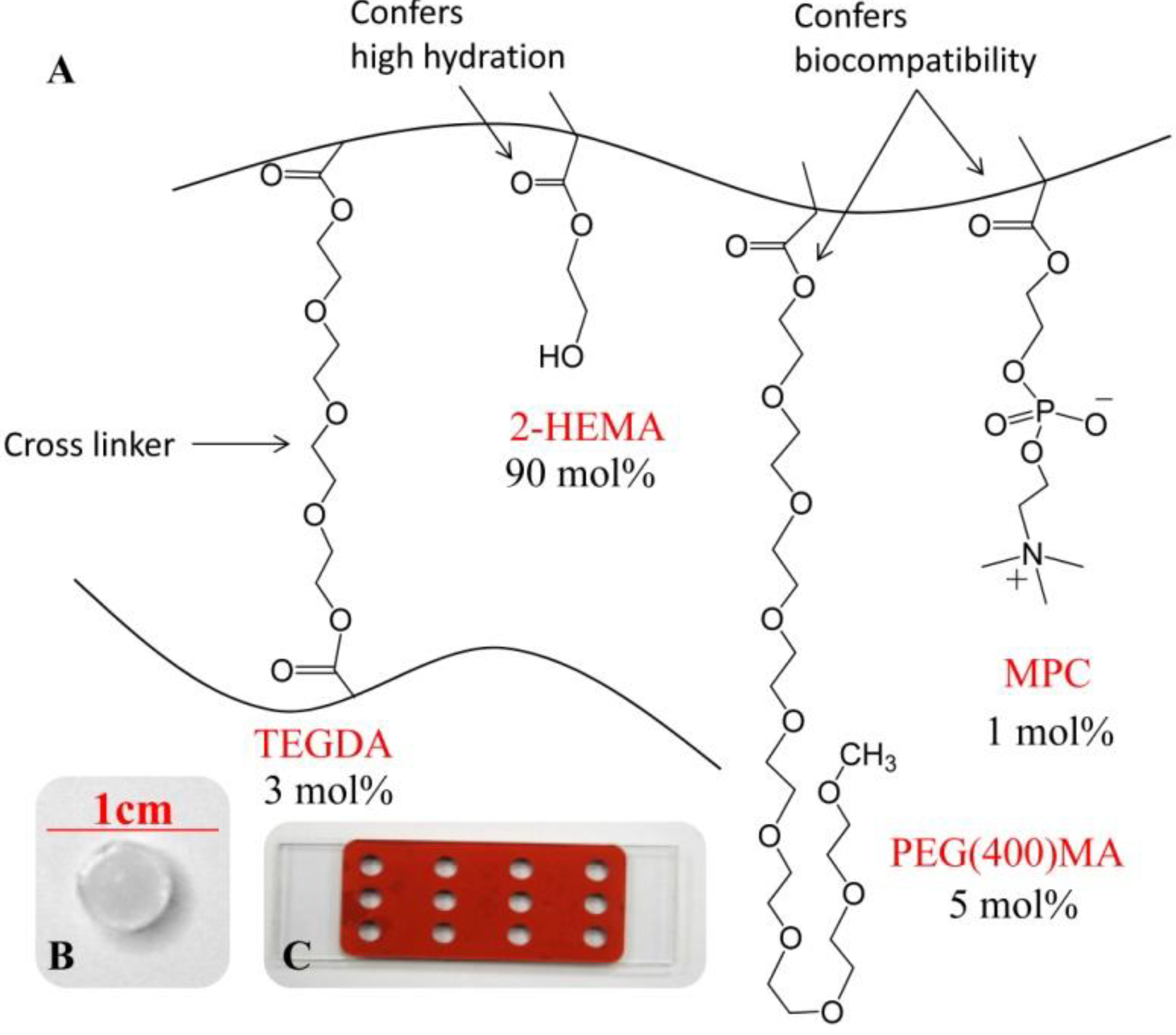 Polymers 06 02451 g001