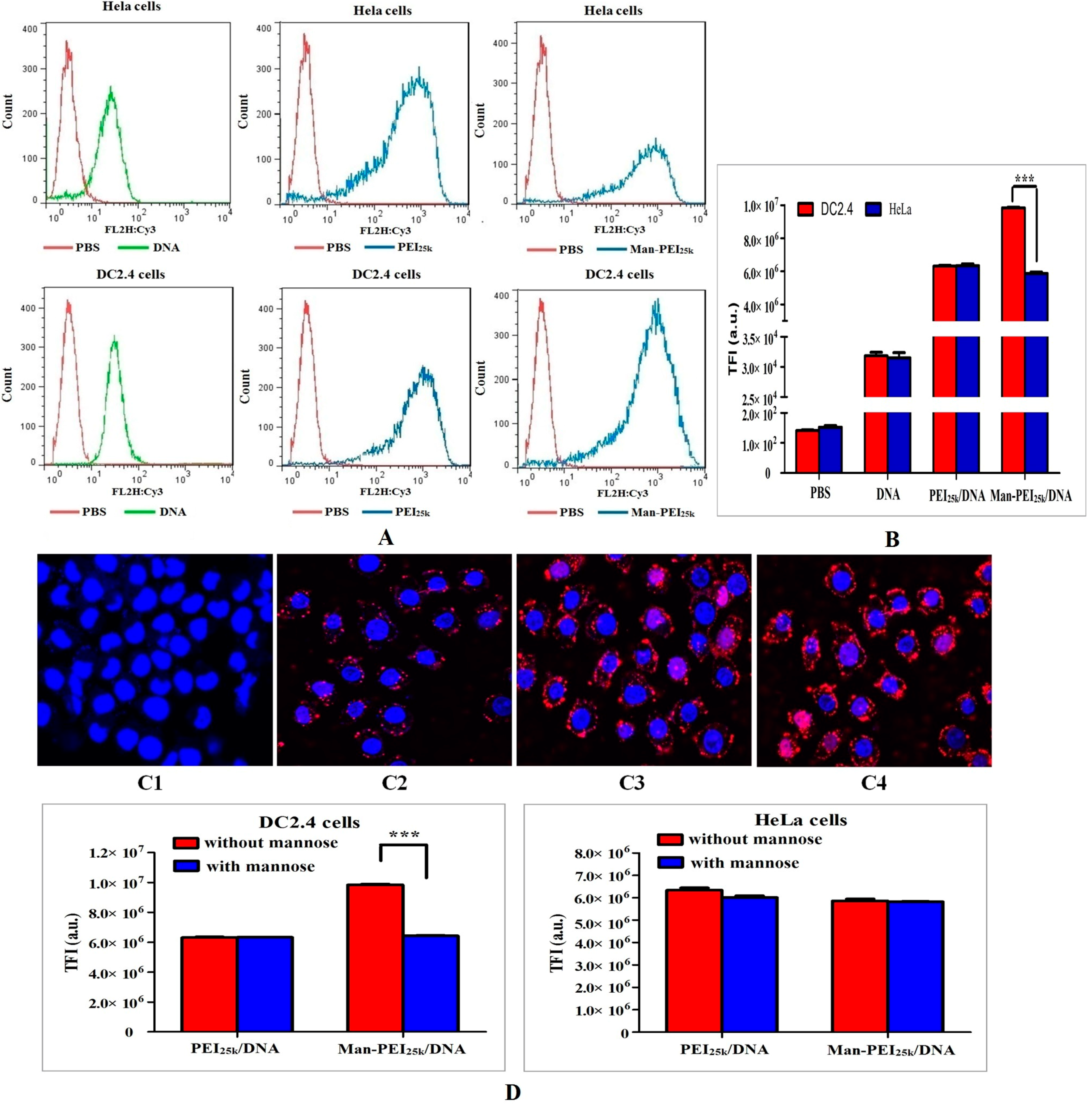 Polymers 06 02573 g006 1024